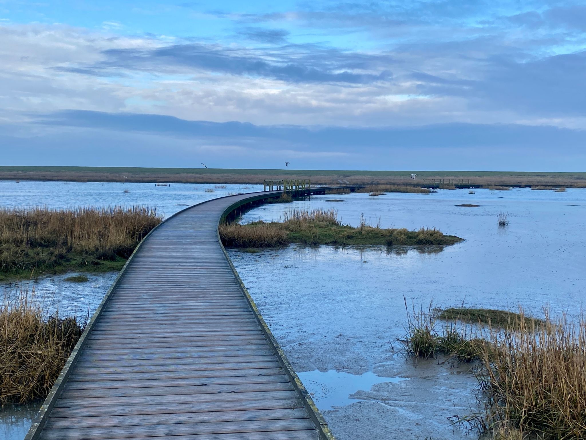 Freistehendes Ferienhaus in Tossens mit Terrasse-Image-tags.info