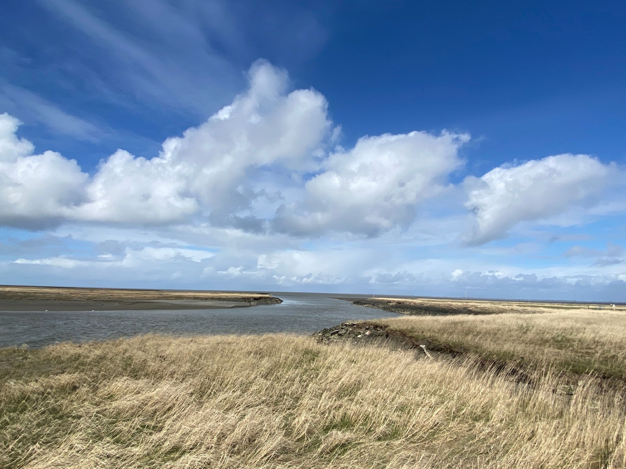 Freistehendes Ferienhaus in Tossens mit Terrasse-Image-tags.info