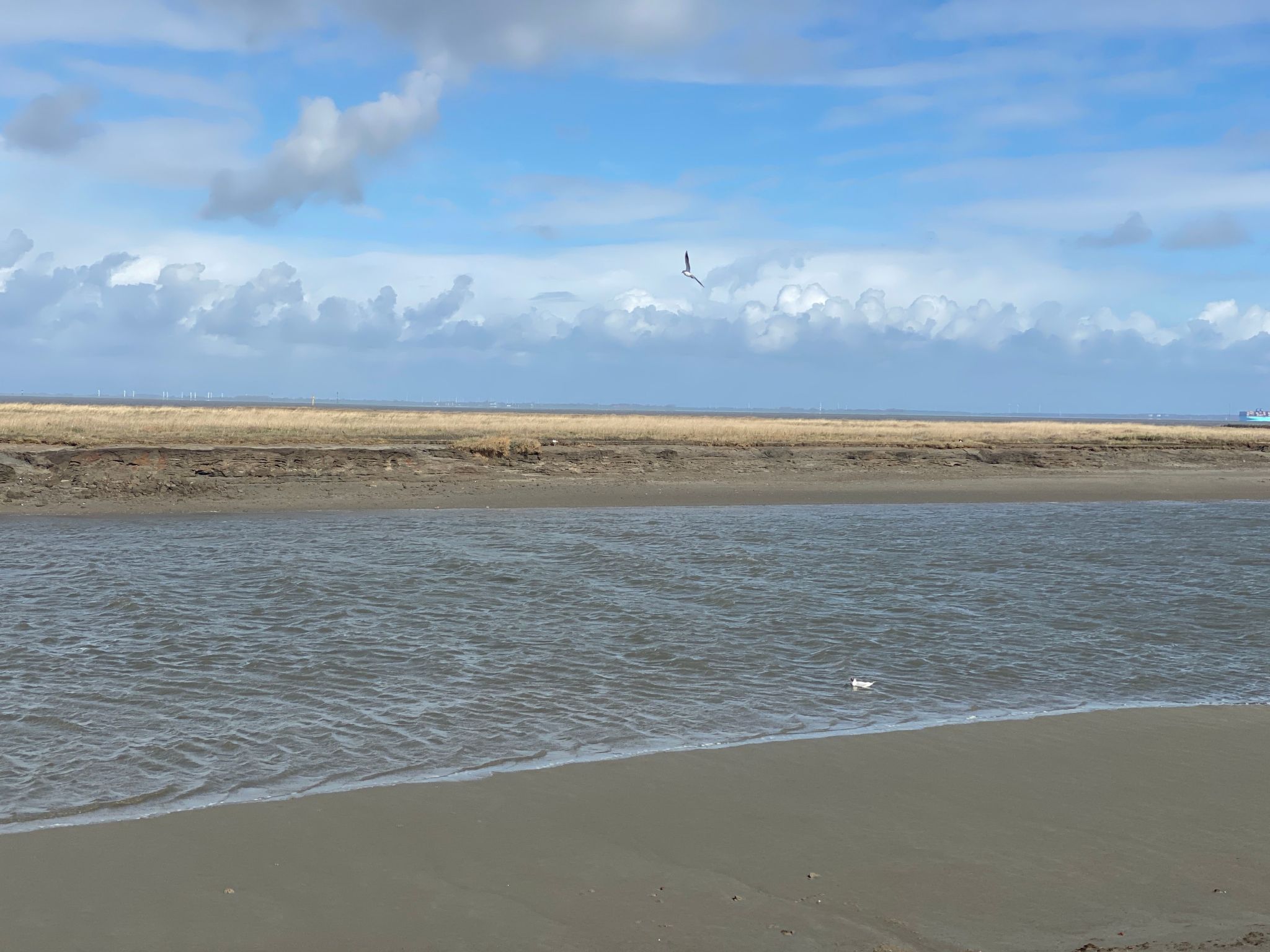 Freistehendes Ferienhaus in Tossens mit Terrasse-Image-tags.info