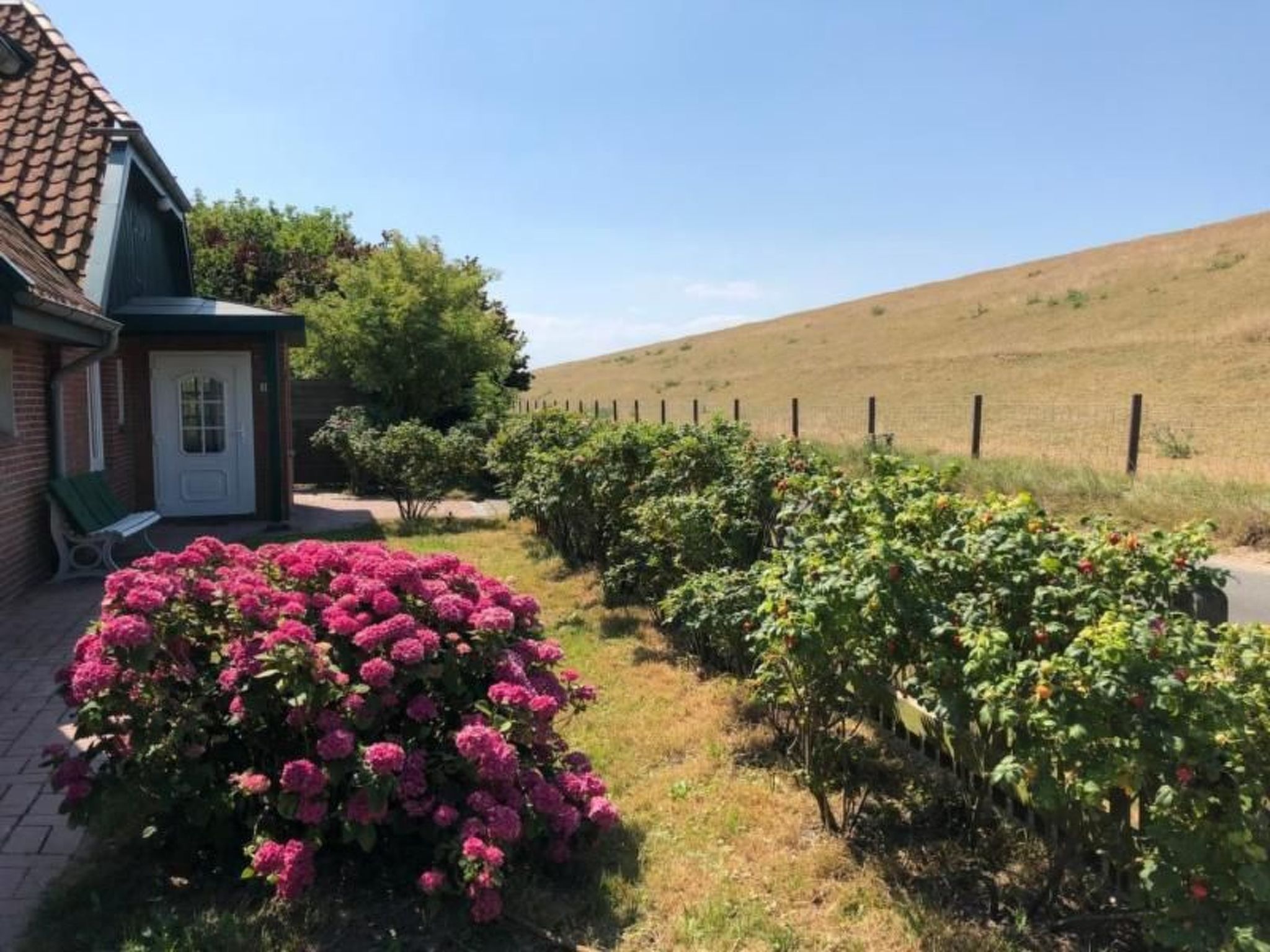 Deichhof Tossens-Binnen