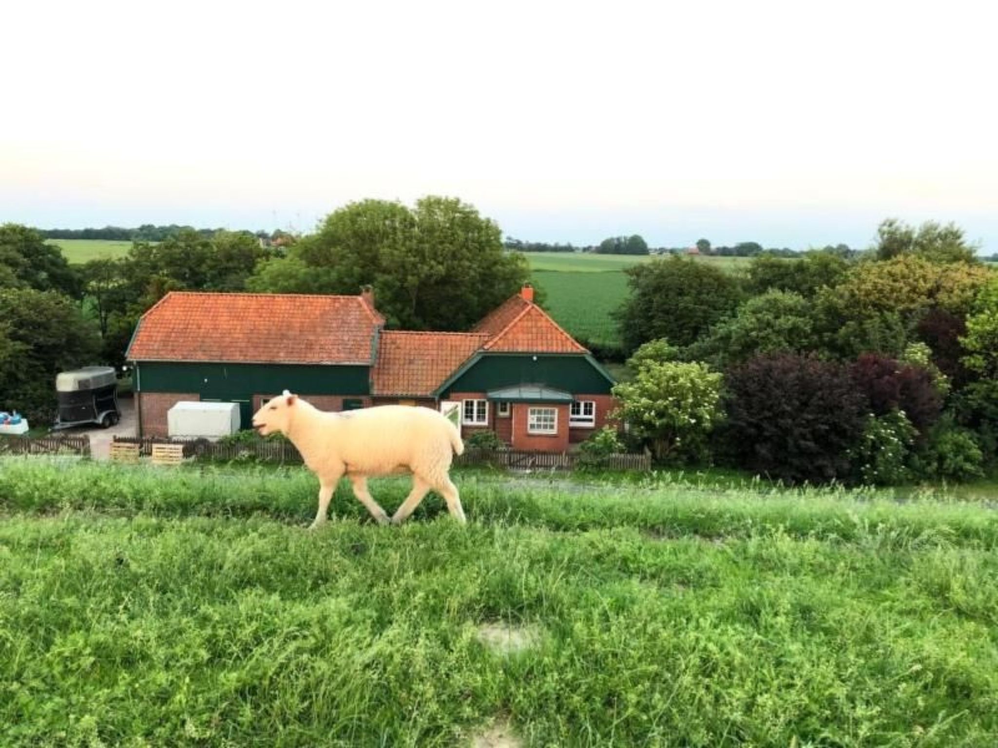 Deichhof Tossens-Binnen