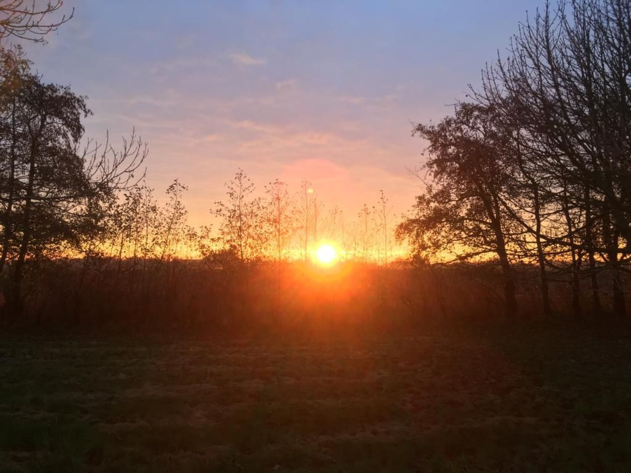 Deichhof Tossens-Binnen