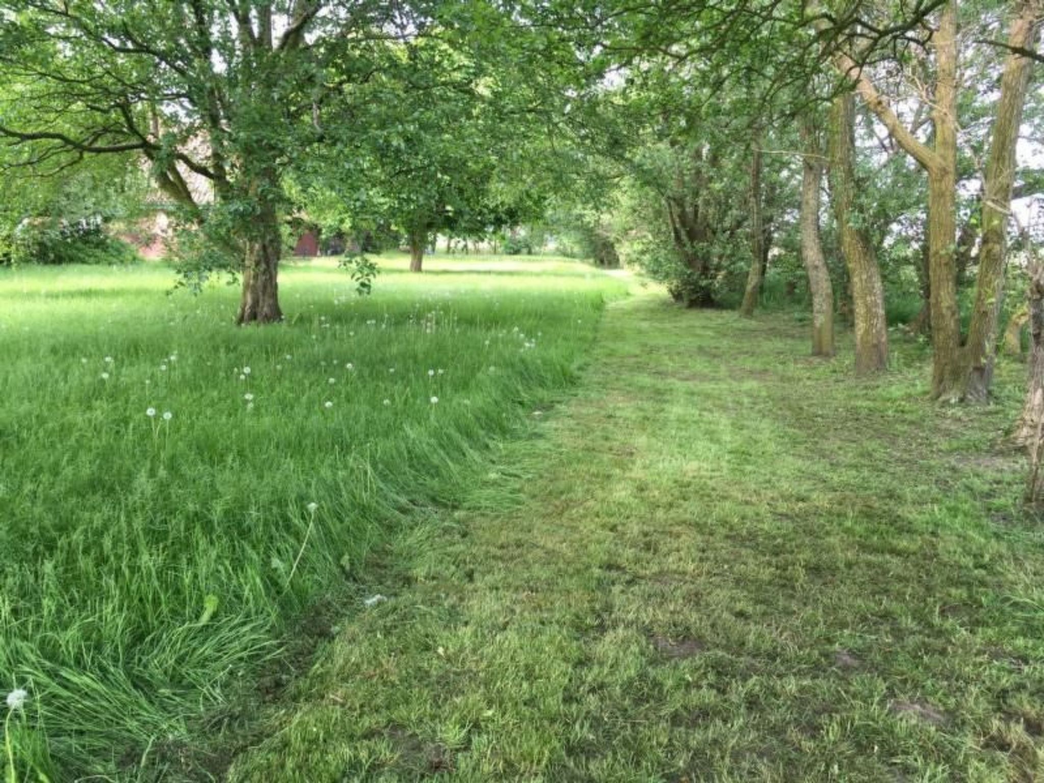 Deichhof Tossens-Binnen