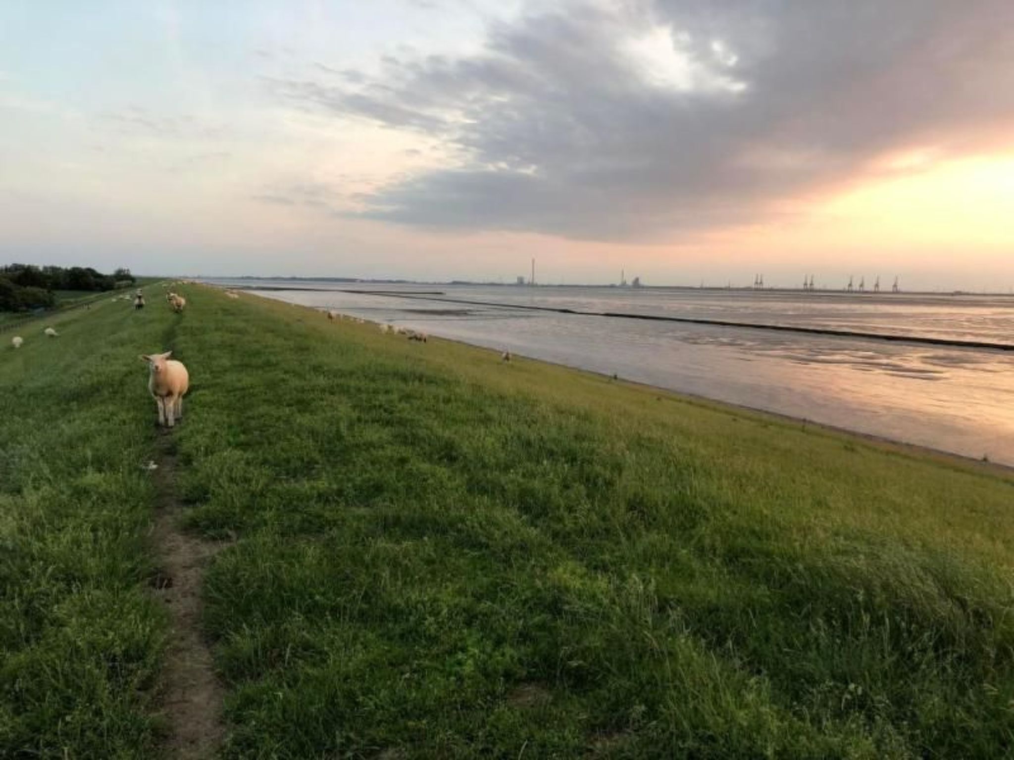 Deichhof Tossens-Binnen