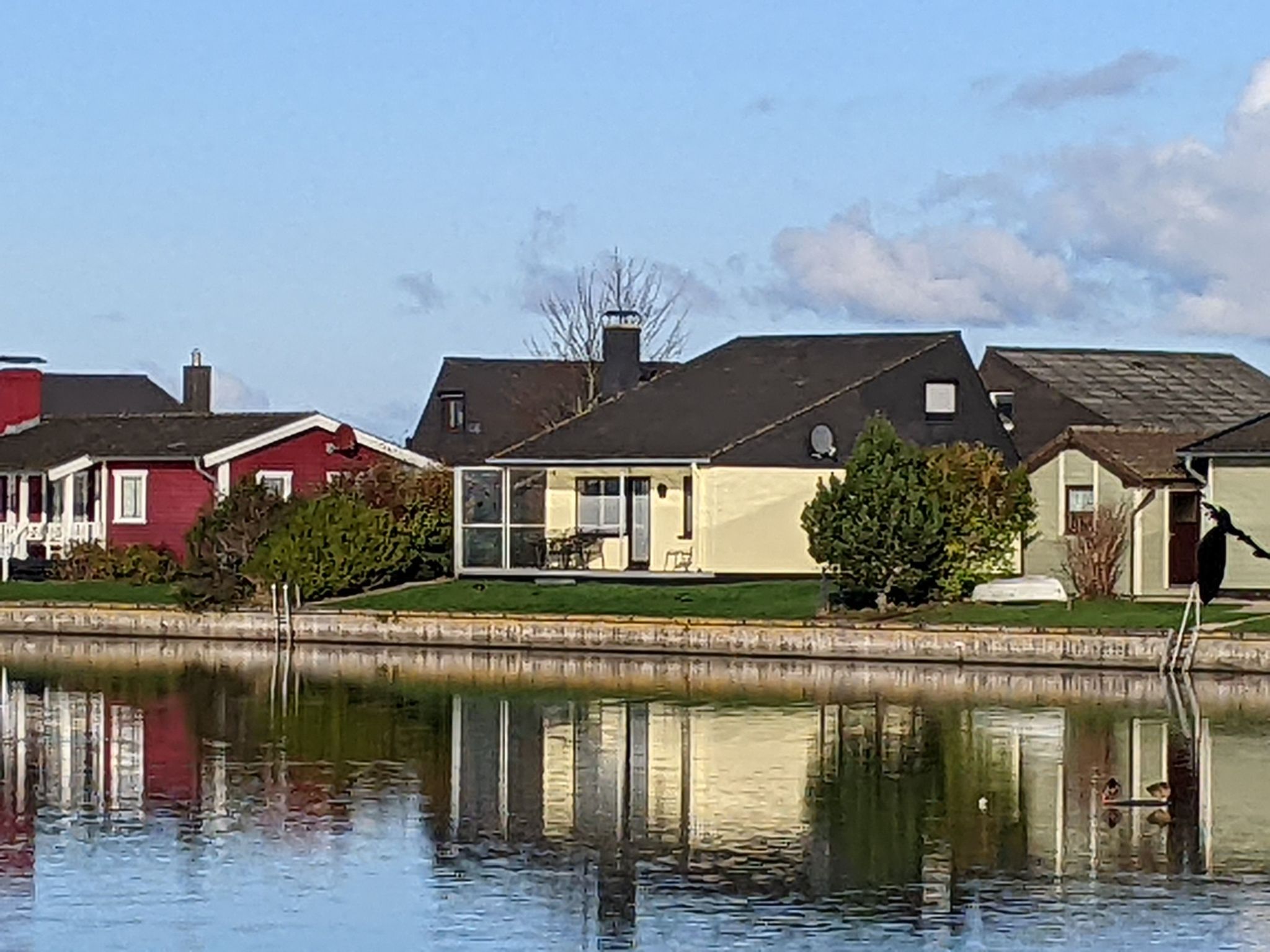 Eul in Butjadingen-Großwürden-Dehors