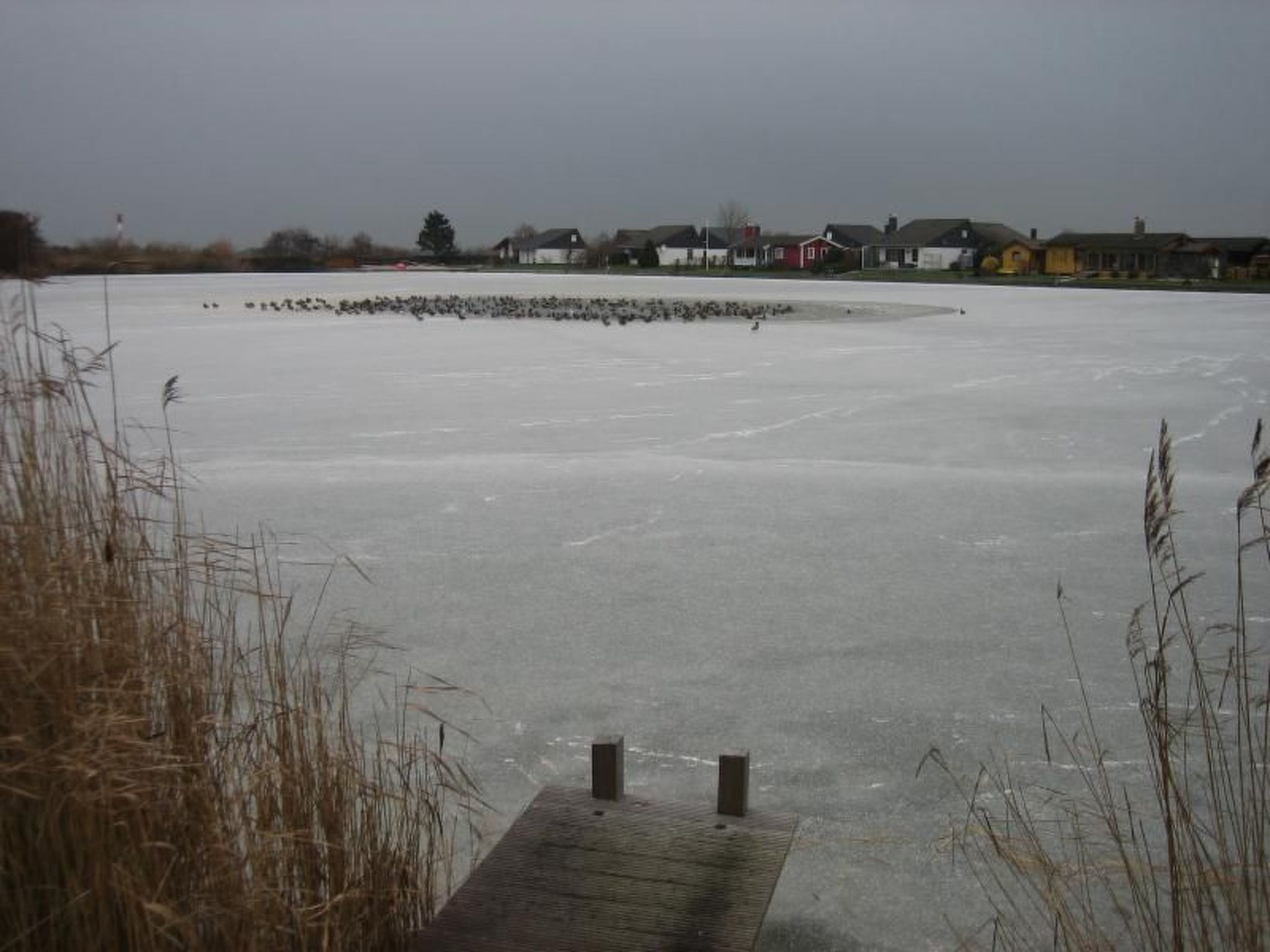 Eul in Butjadingen-Großwürden-Dehors