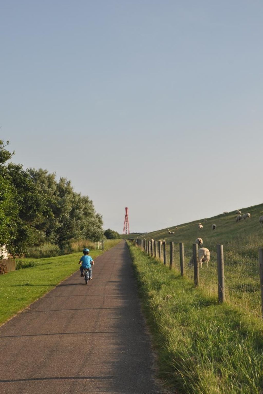 Eul in Butjadingen-Großwürden-Dehors