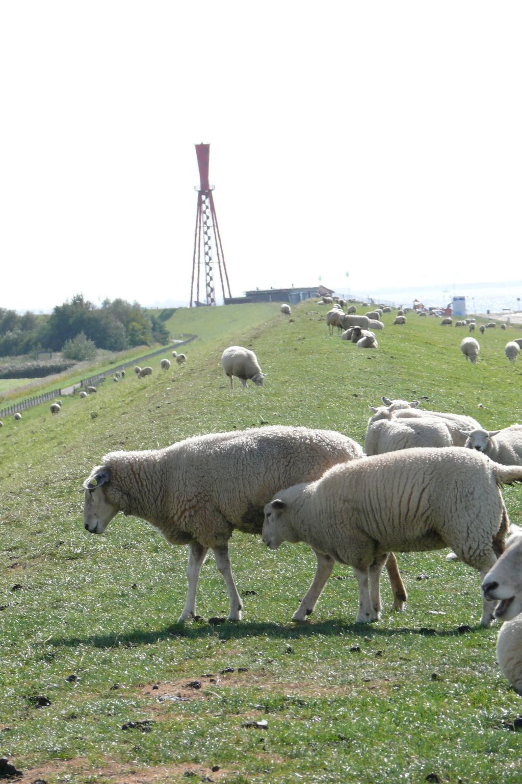 Hochwertiges Ferienhaus in einem Ferienpark-Dedans