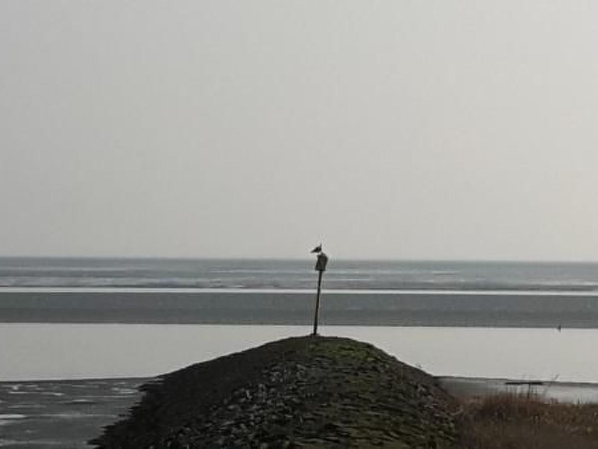 Friesenstube mit Sauna-Binnen