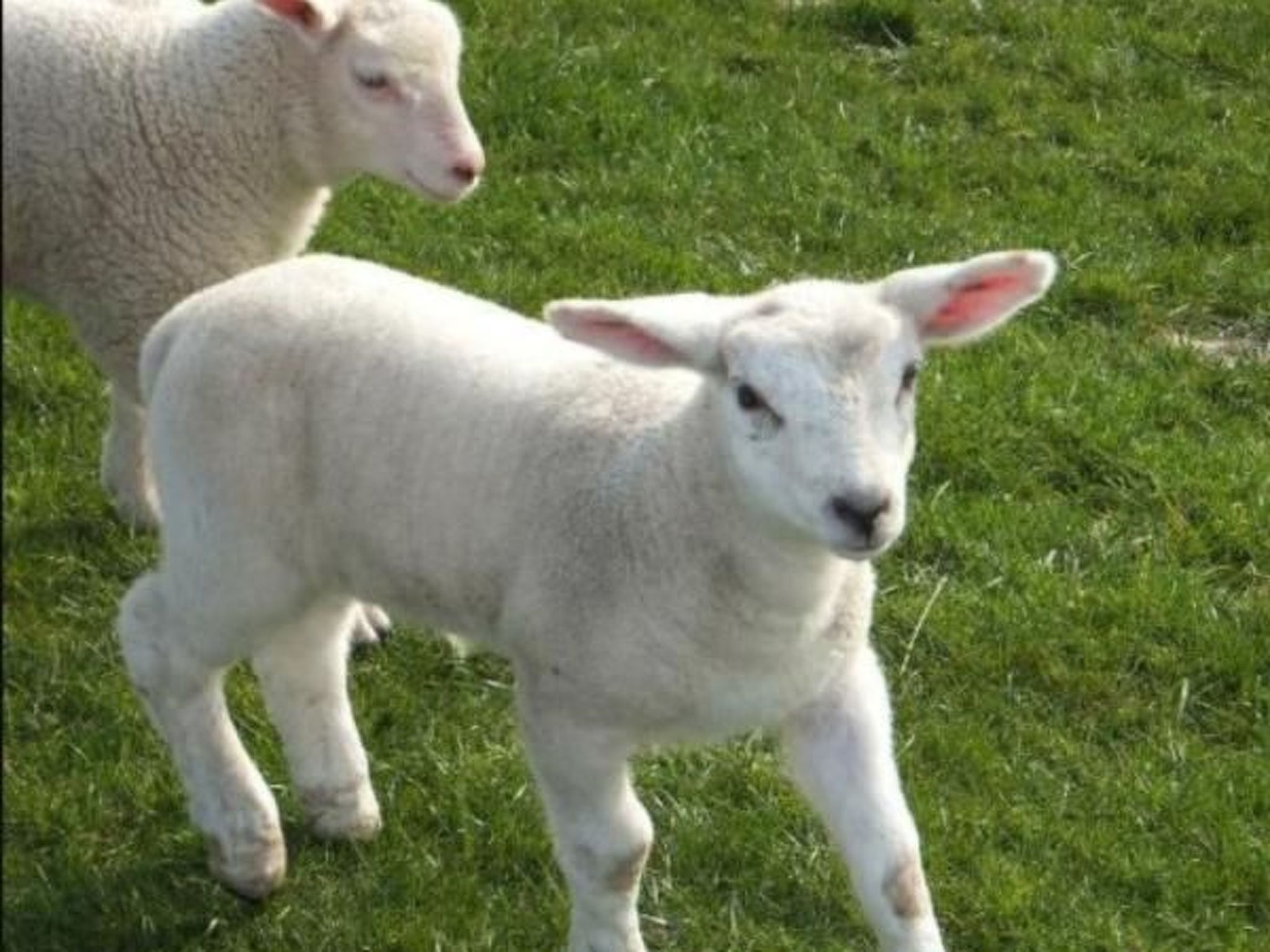 Friesenstube mit Sauna-Binnen