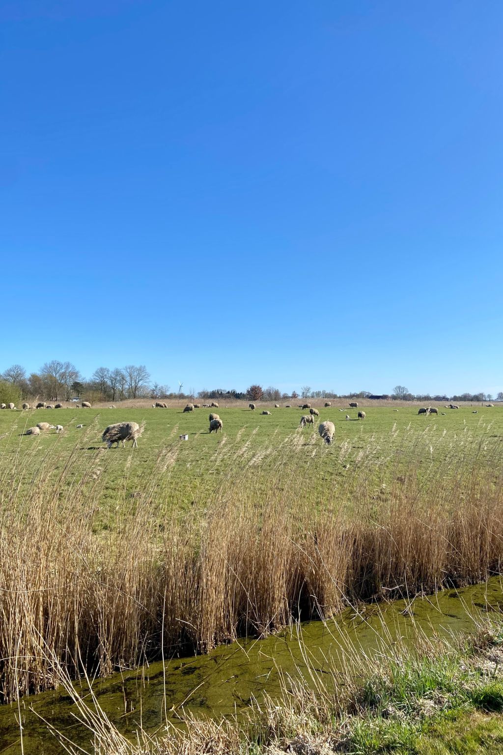 Huus in Hoddersdiek 27-Inside