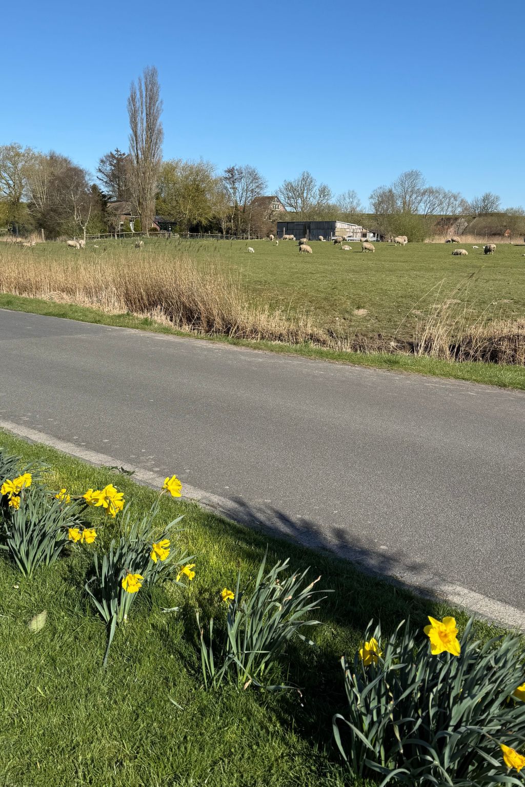 Huus in Hoddersdiek 27-Inside