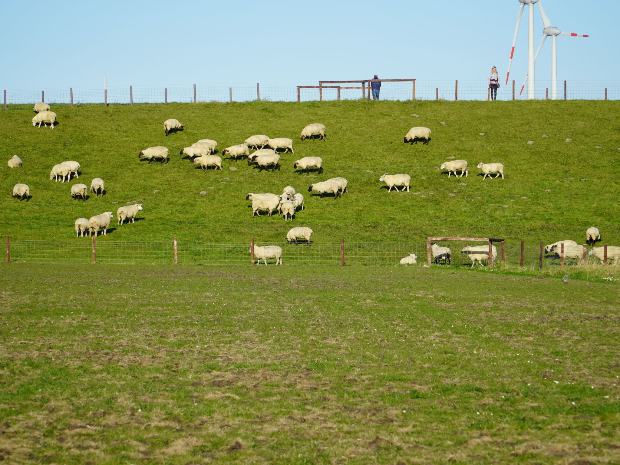 Haus Sternenstrand-Image-tags.info