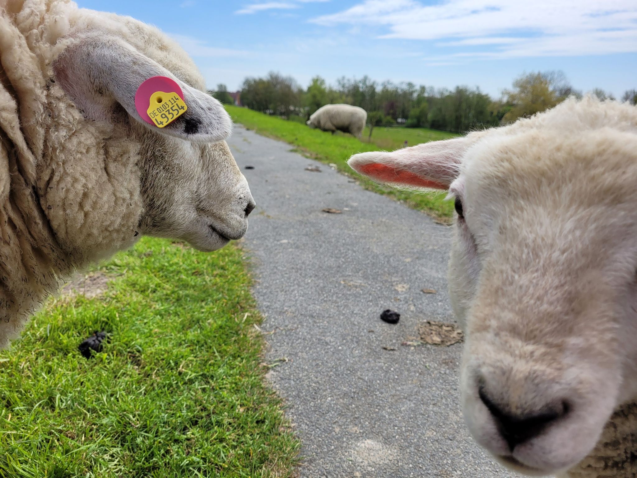 In der Nähe  vom Deich und Strand-Dedans