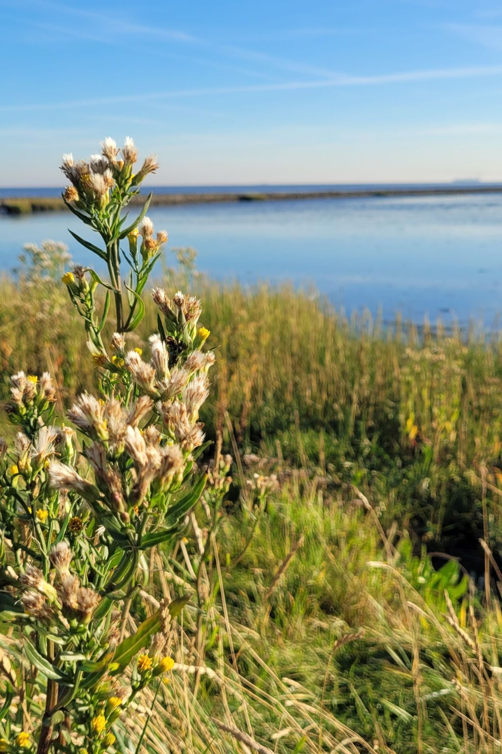 In der Nähe  vom Deich und Strand-Dedans