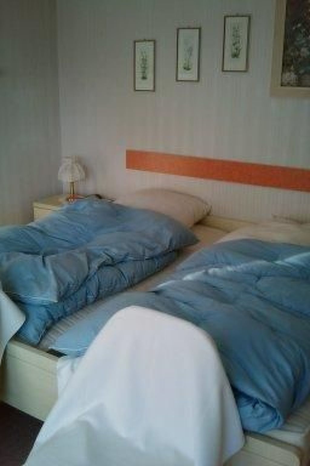 Strandnahe Erdgeschosswohnung Pferde-taxi-Image-tags.info