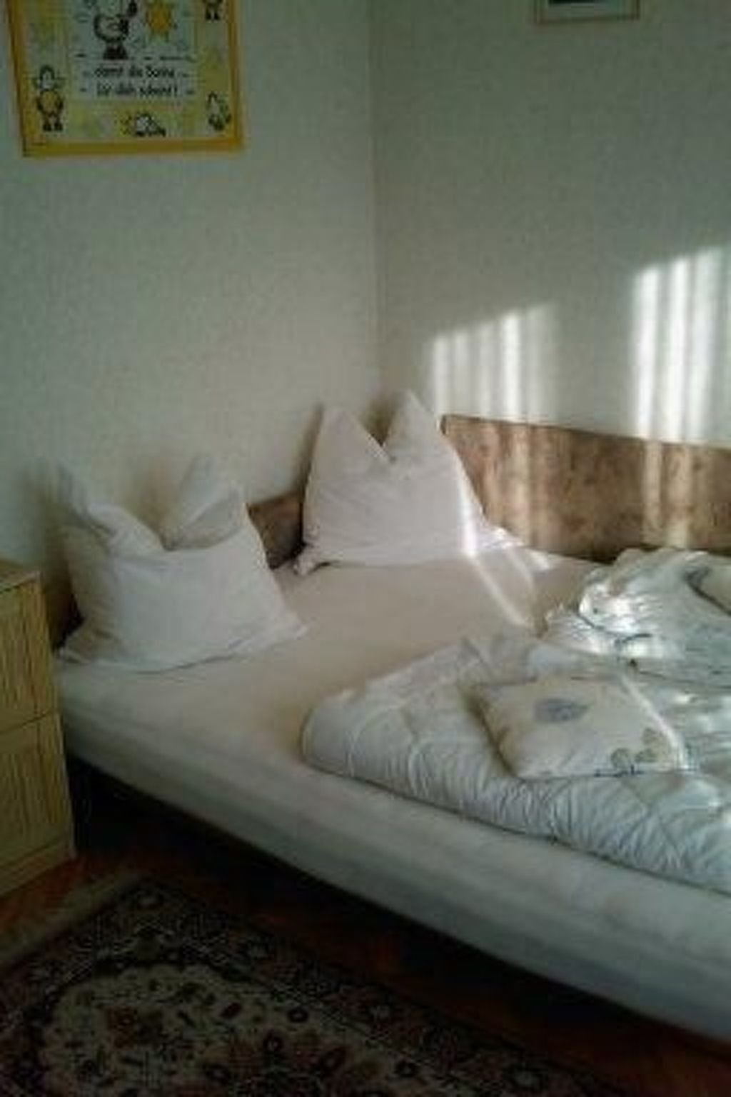 Strandnahe Erdgeschosswohnung Pferde-taxi-Image-tags.info