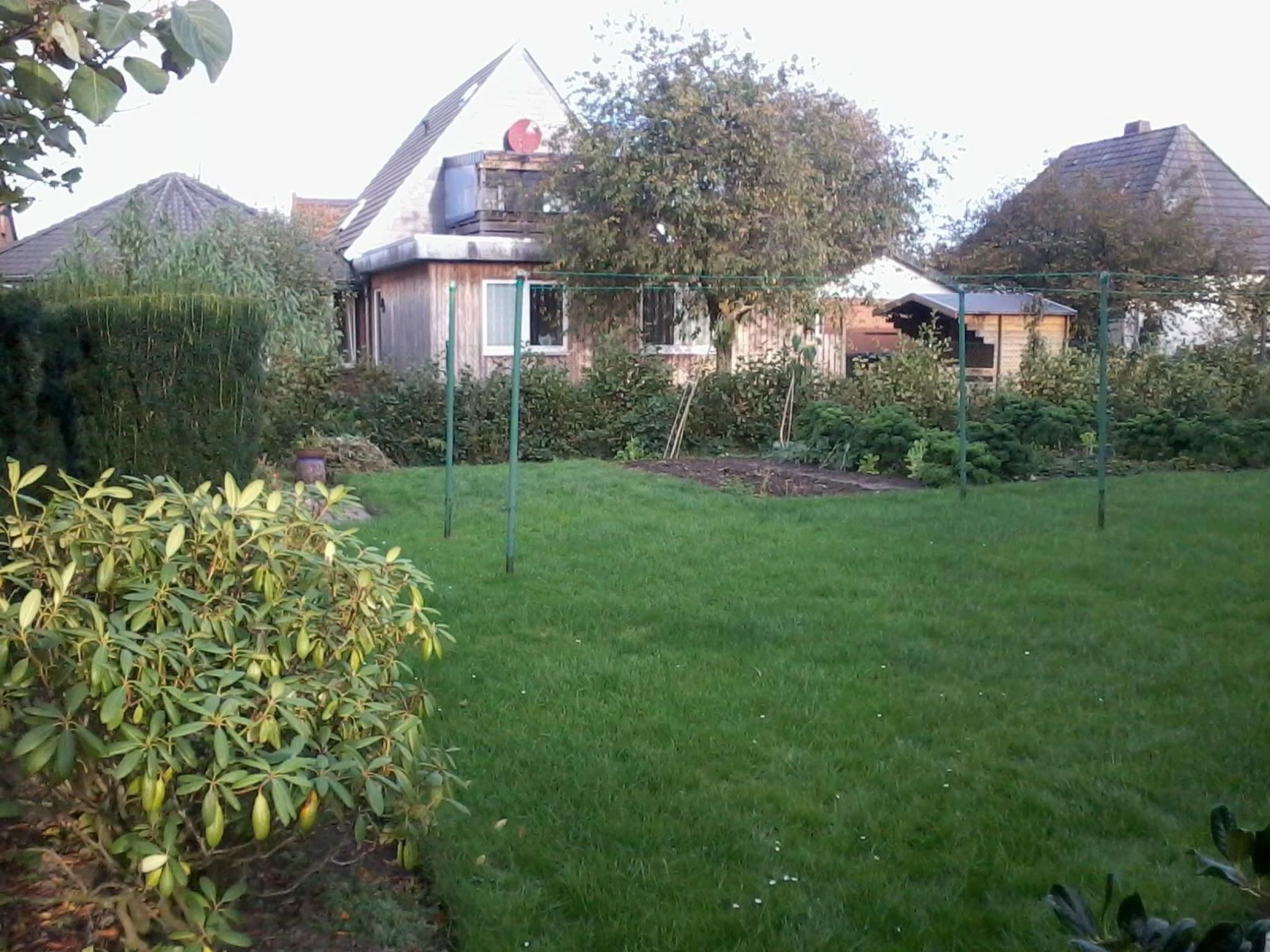 Strandnahe Erdgeschosswohnung Pferde-taxi-Image-tags.info