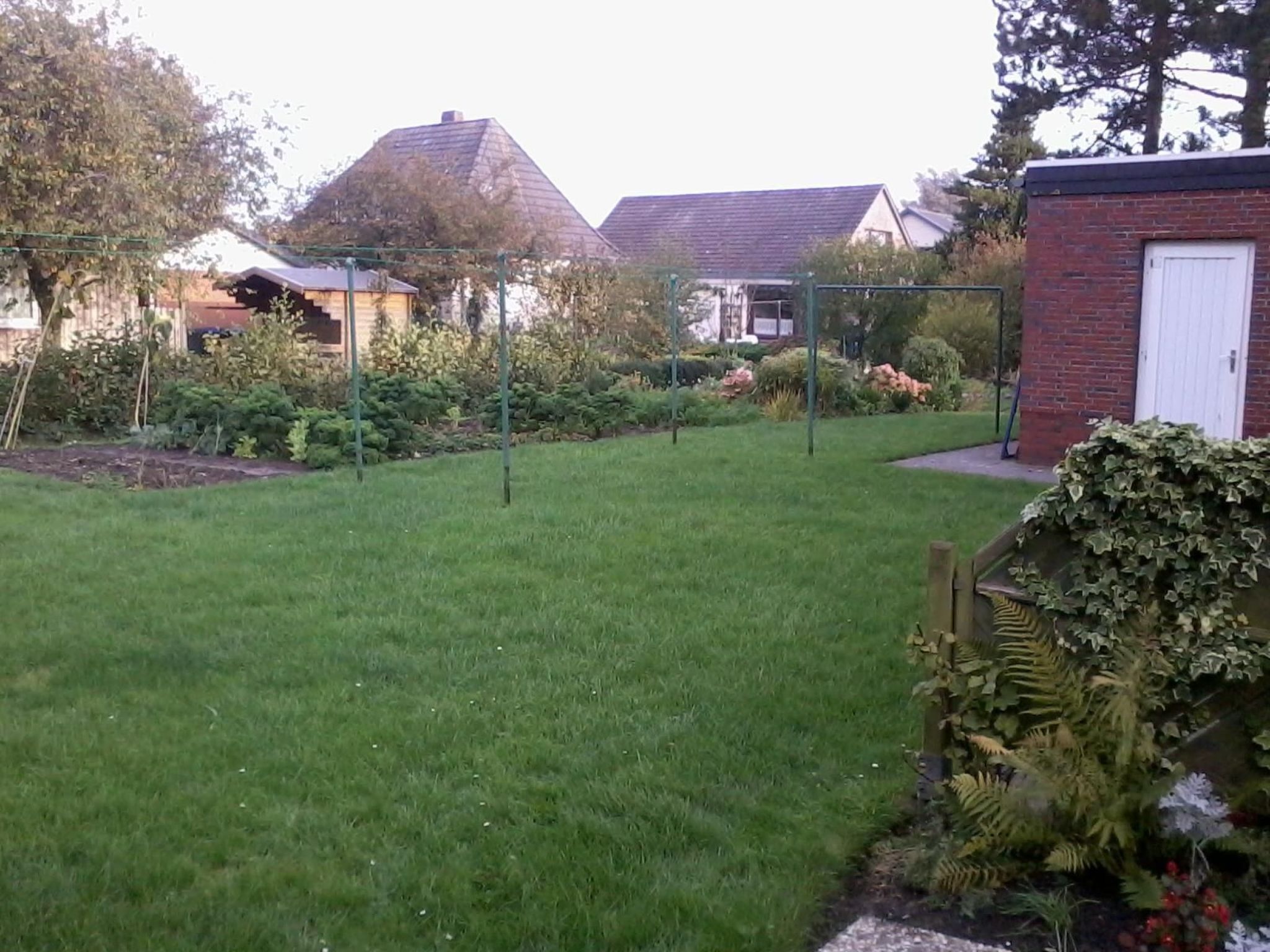 Strandnahe Erdgeschosswohnung Pferde-taxi-Image-tags.info