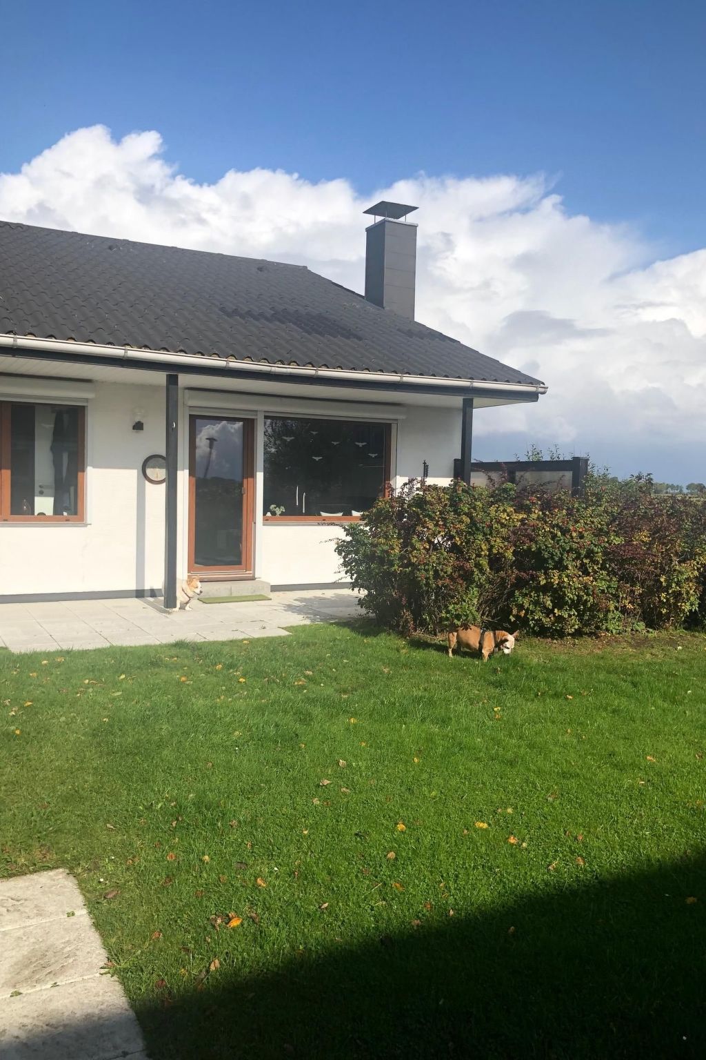 Freistehendes Ferienhaus mit Garten-Image-tags.info