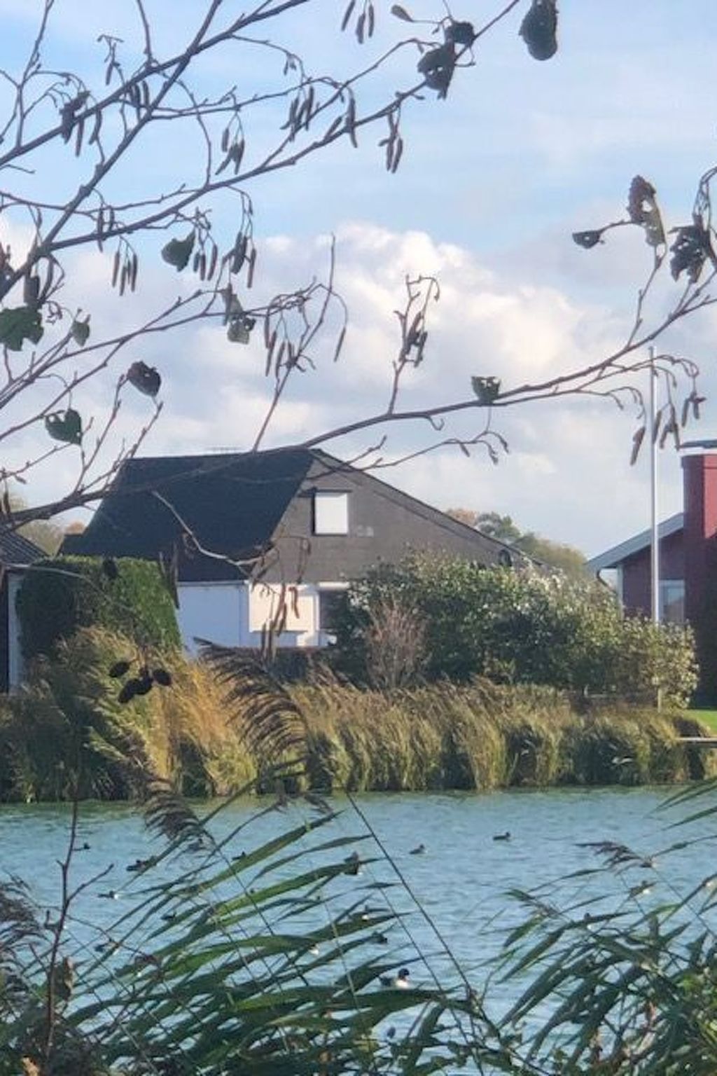 Freistehendes Ferienhaus mit Garten-Image-tags.info