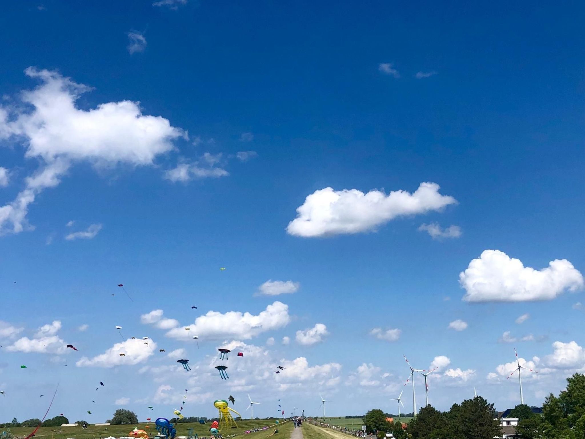 Freistehendes Ferienhaus mit Garten-Image-tags.info