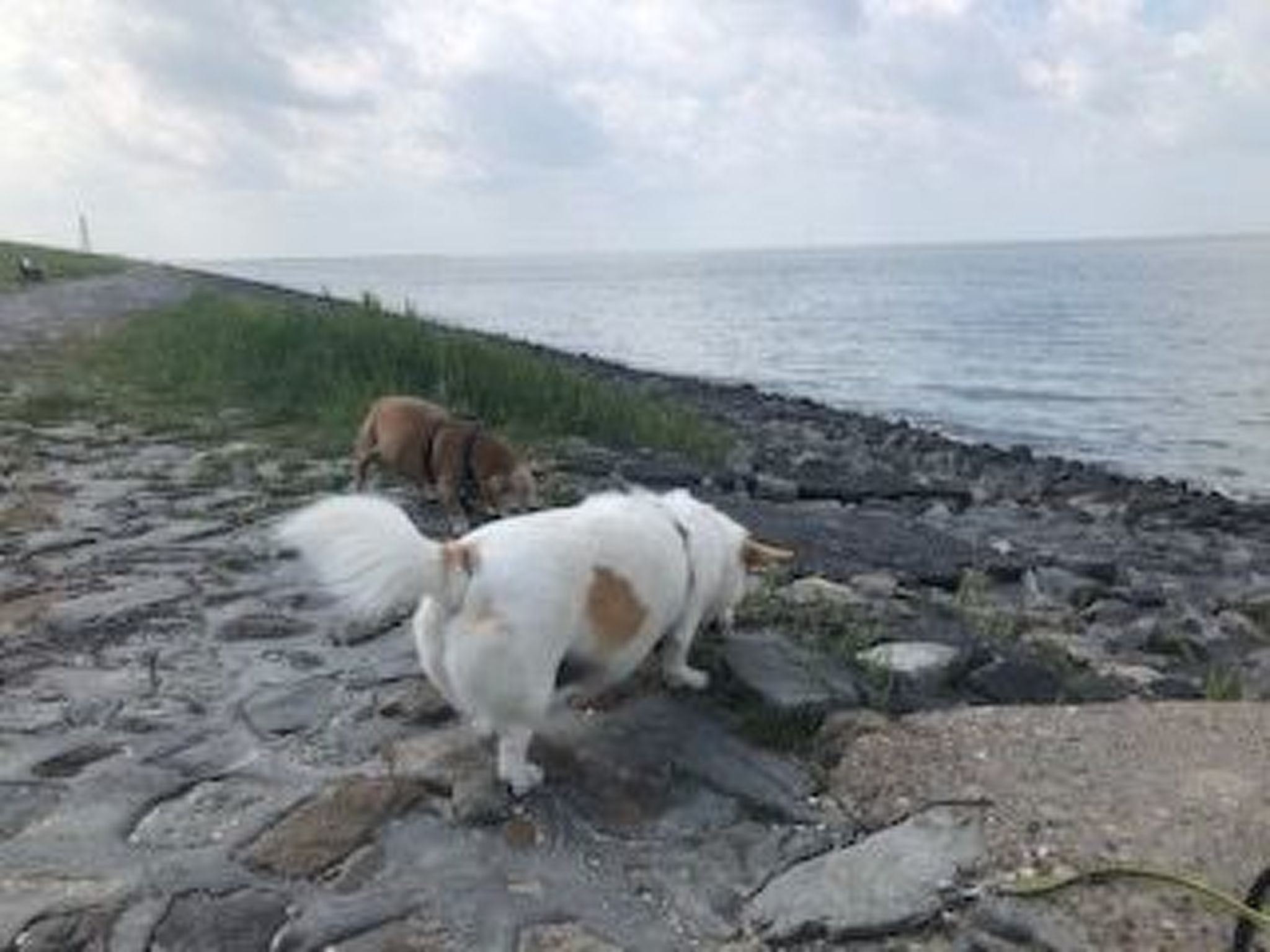 Freistehendes Ferienhaus mit Garten-Image-tags.info