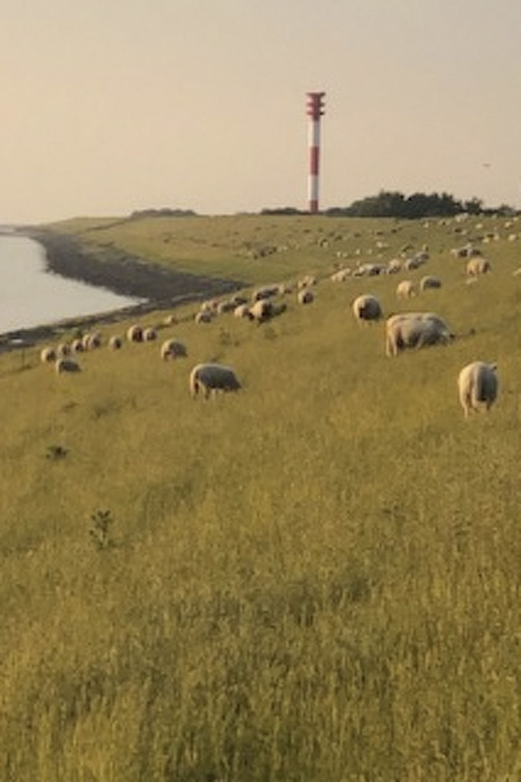 Freistehendes Ferienhaus mit Garten-Image-tags.info