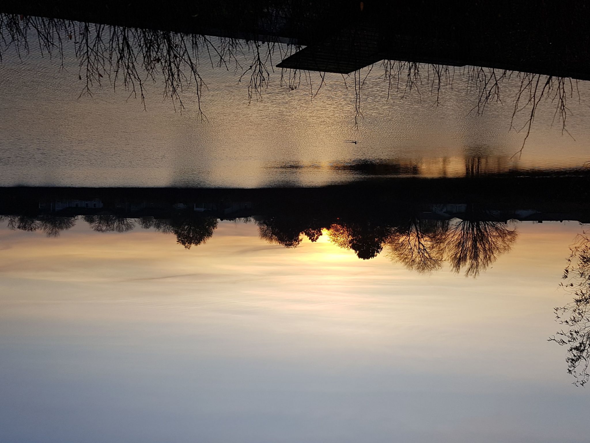 G18 Ferienhaus mit Wiesenblick in Eckwarderhörne-Inside