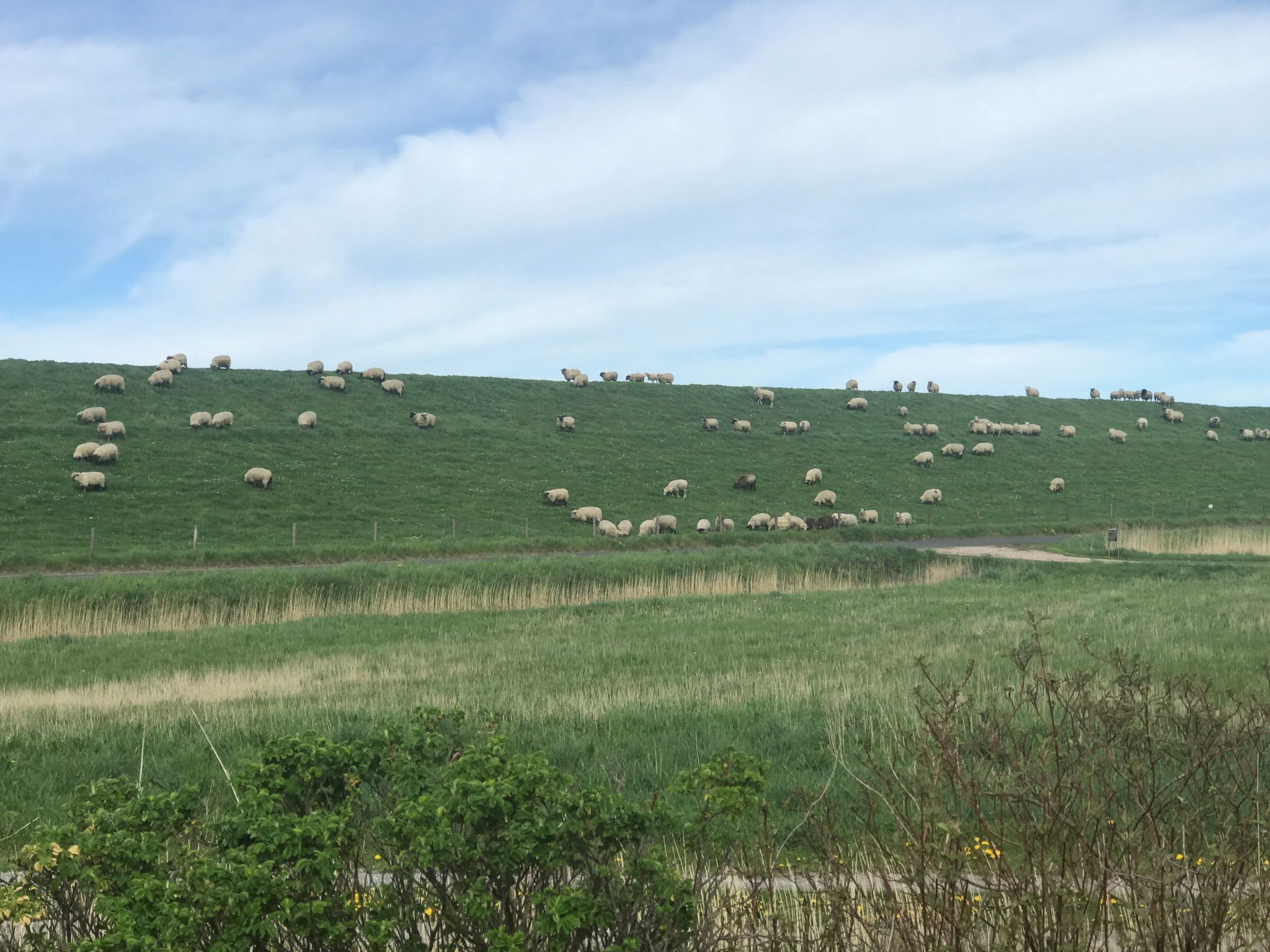 E3 Haus mit Wintergarten, Kamin und Deichblick-Binnen