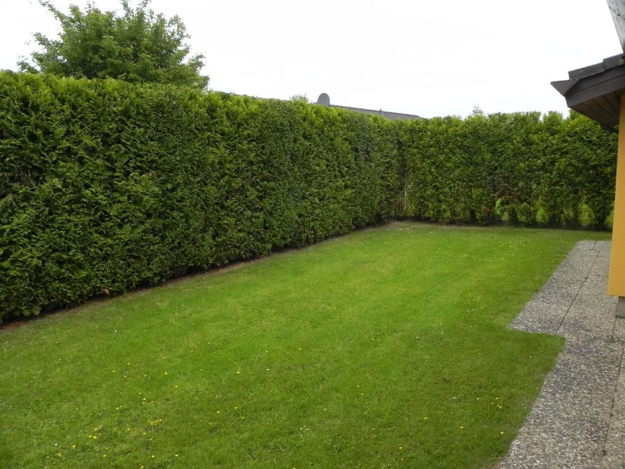 D4 Haus in Eckwarderhörne mit Terrasse und Garten-Binnen