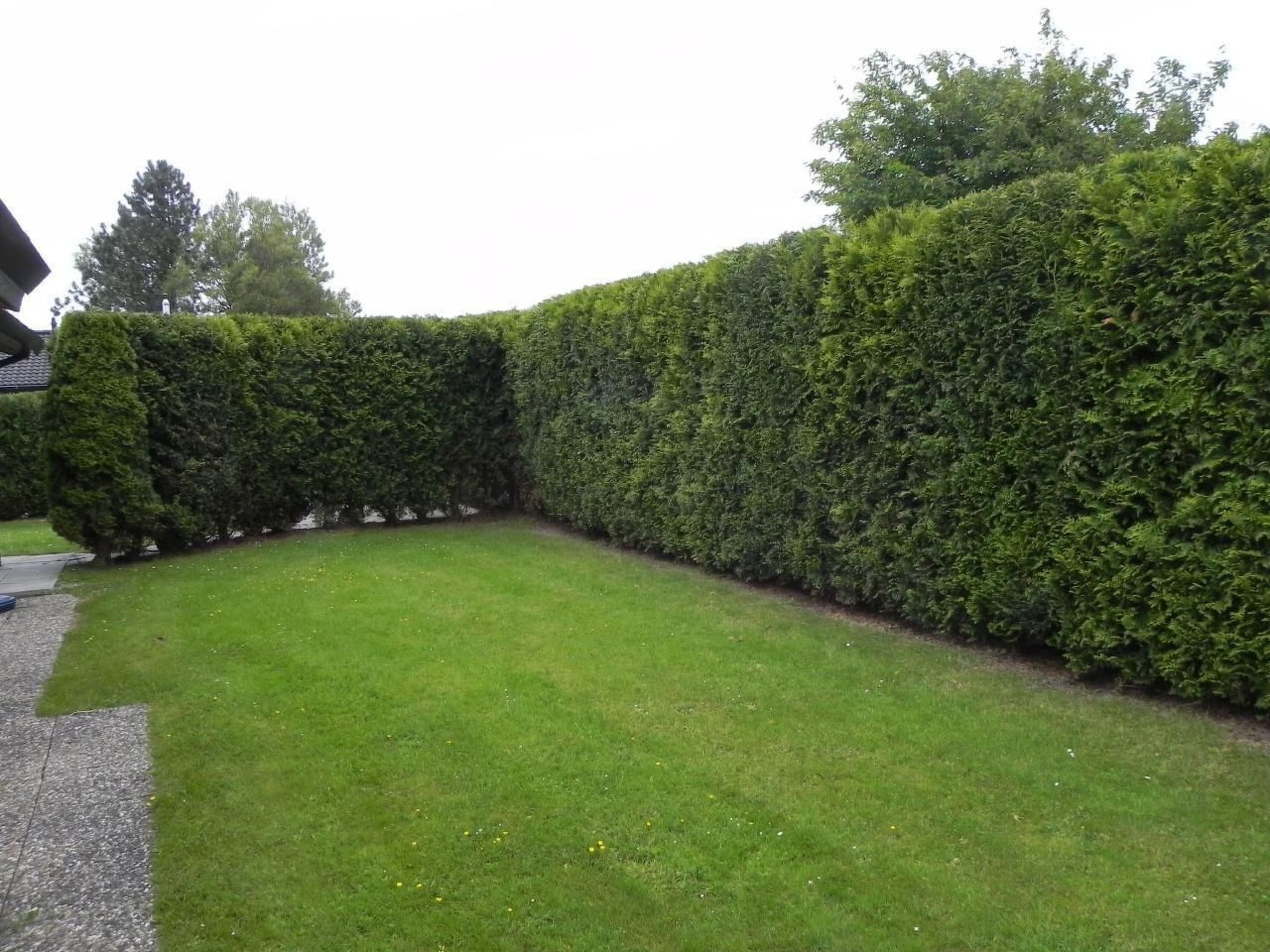 D4 Haus in Eckwarderhörne mit Terrasse und Garten-Binnen