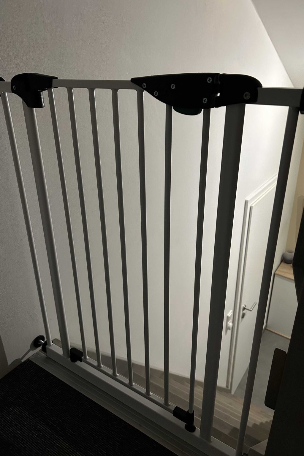 N8 Eingezäuntes Ferienhaus in Eckwarderhörne-Binnen