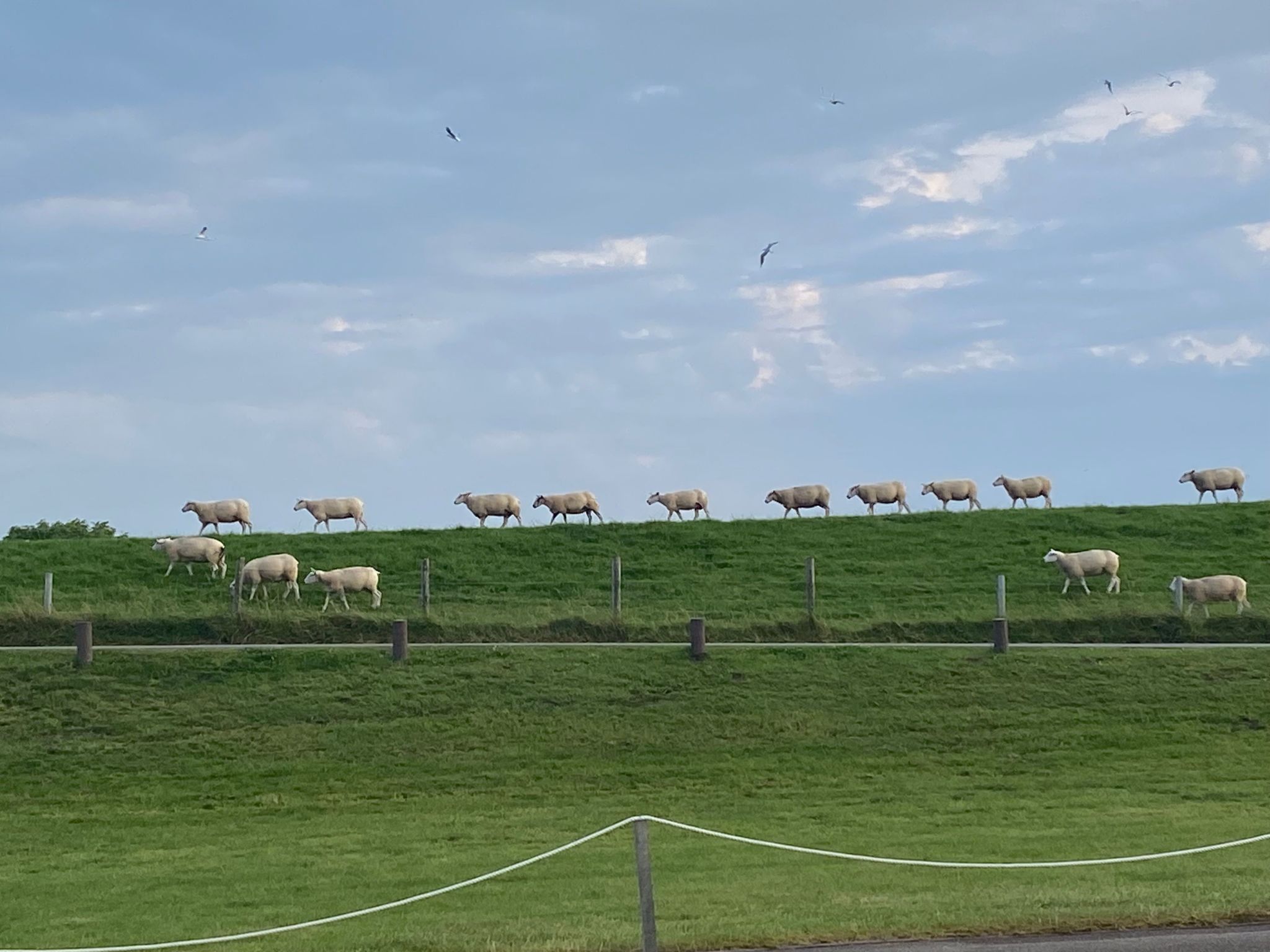 Huus in Hoddersdiek 27 A-Dedans