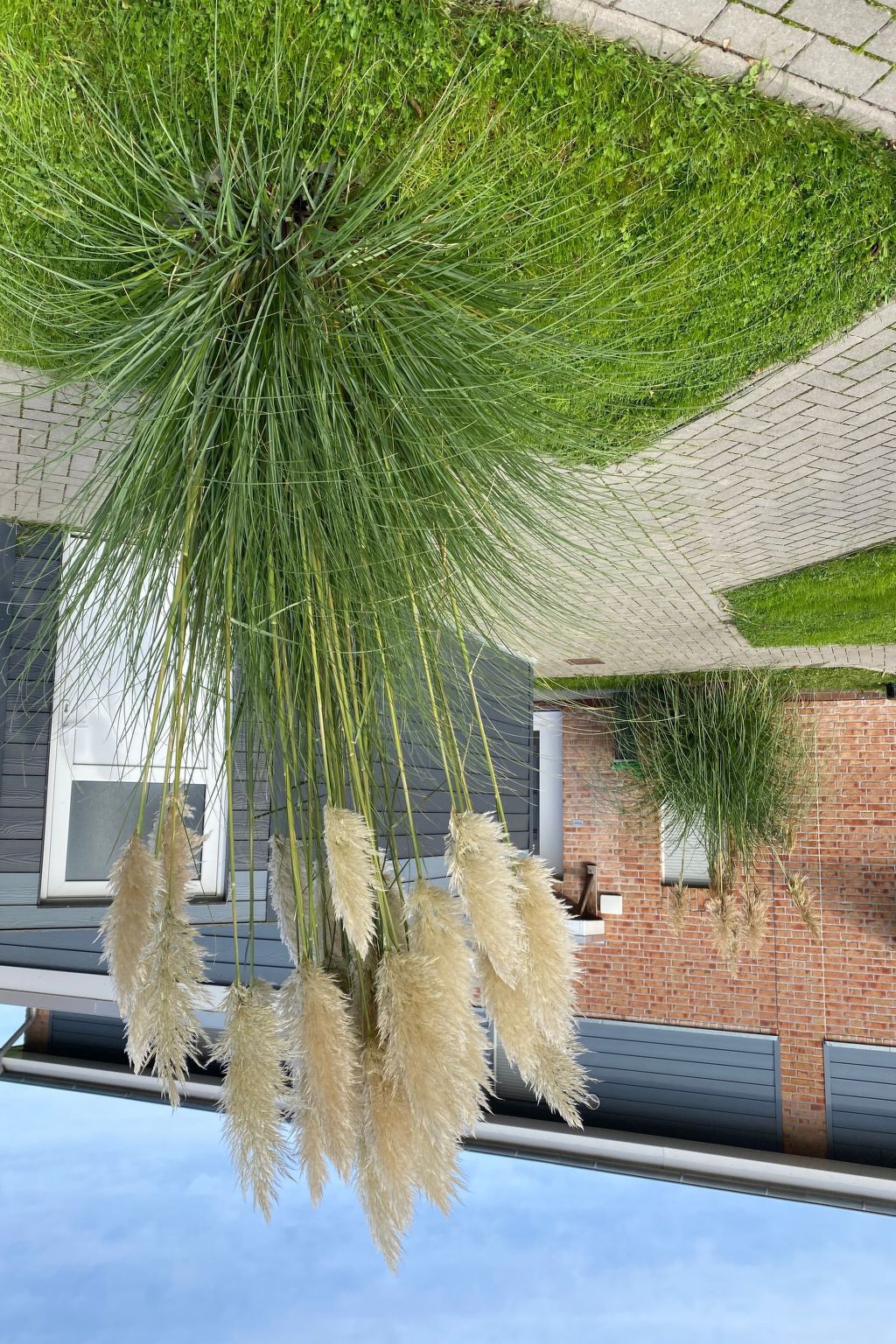 Haus Deichkieker-Image-tags.info