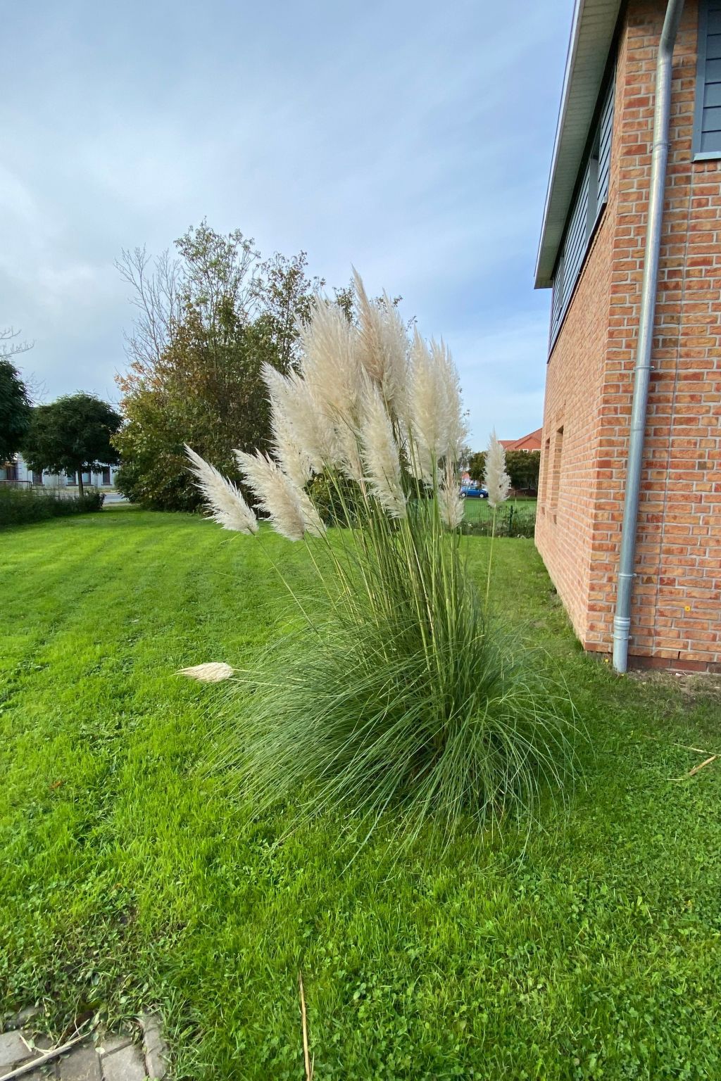 Haus Deichkieker-Image-tags.info