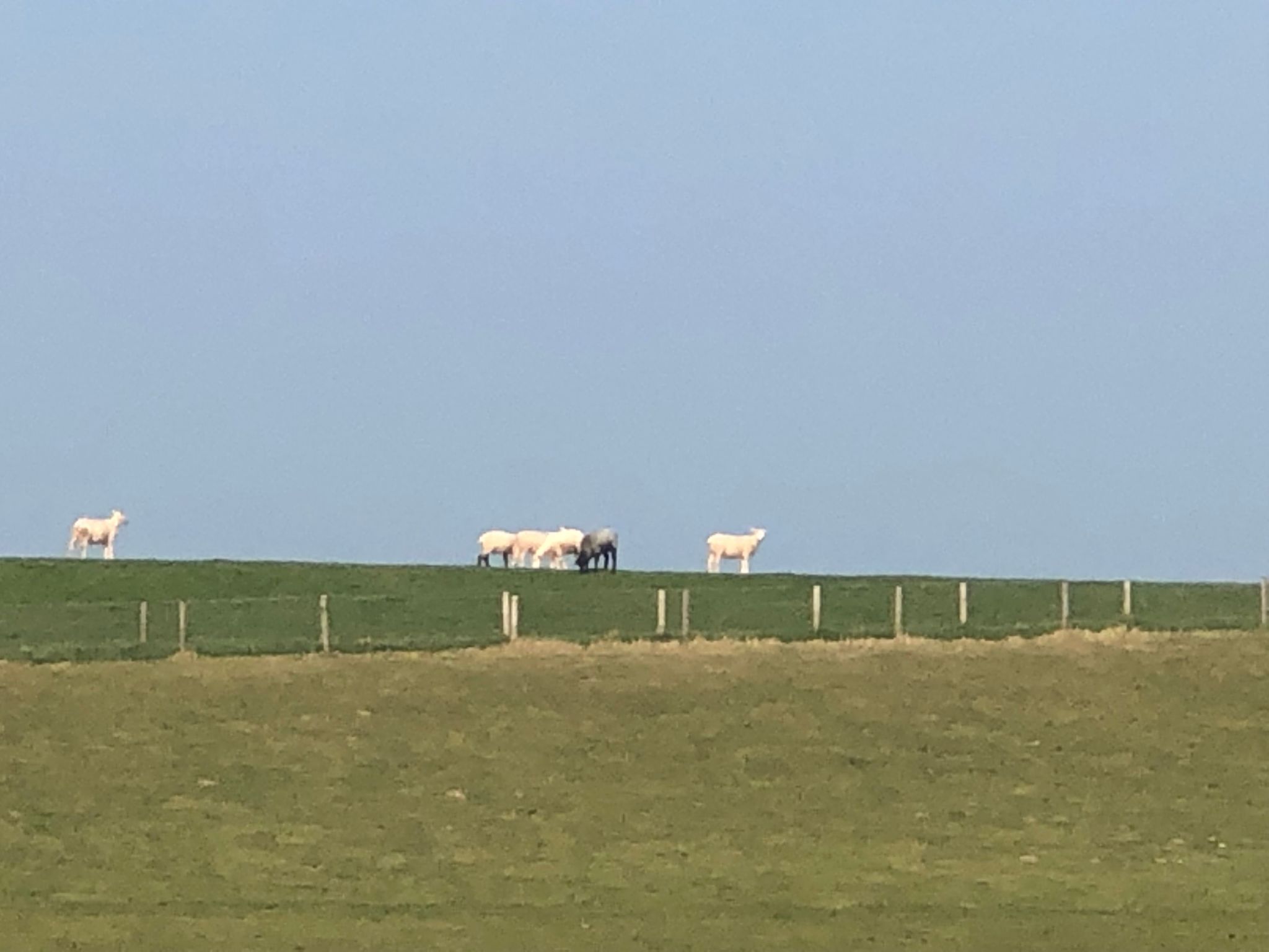 Haus Deichkieker-Image-tags.info