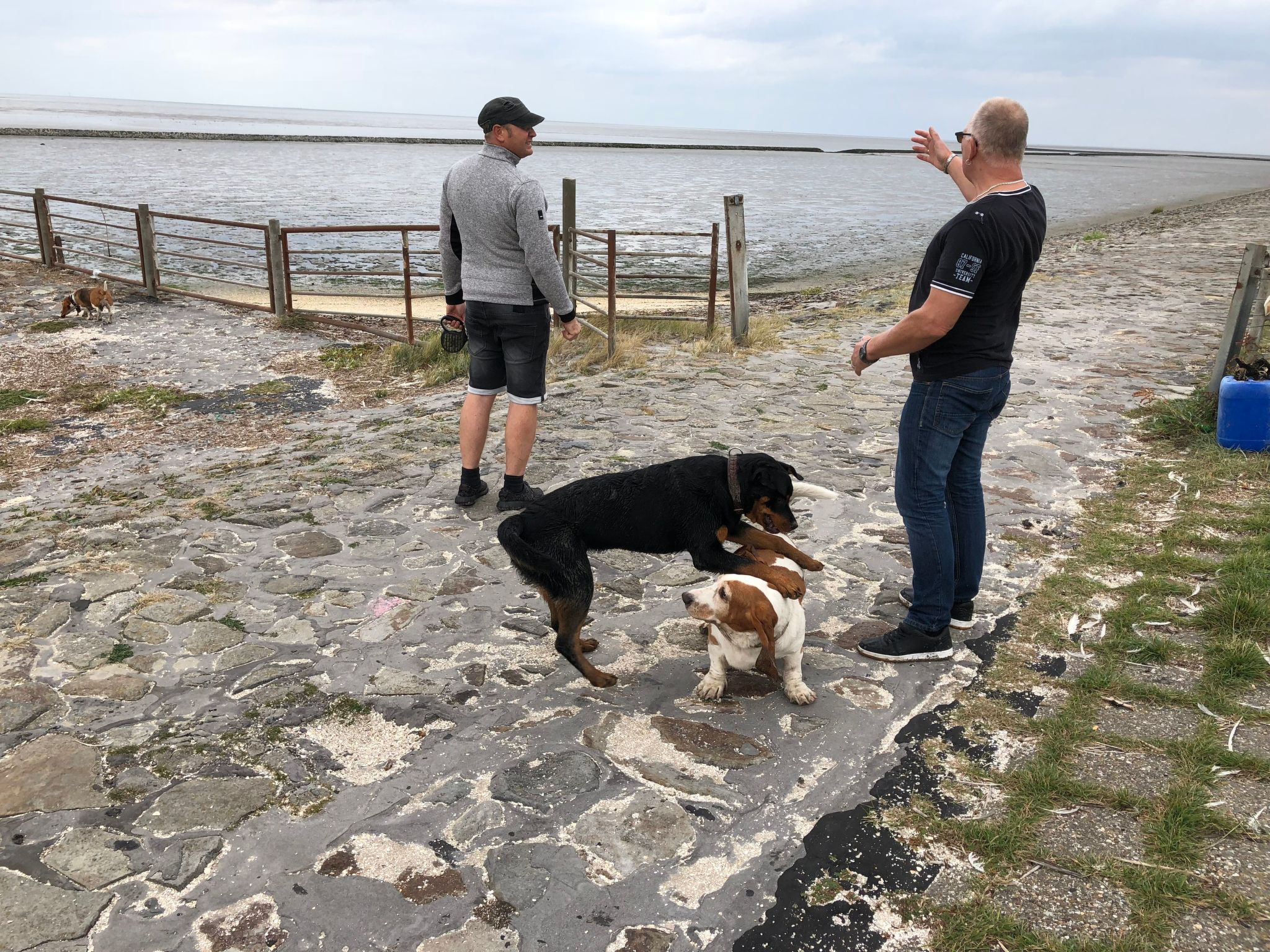 Haus Deichkieker-Image-tags.info