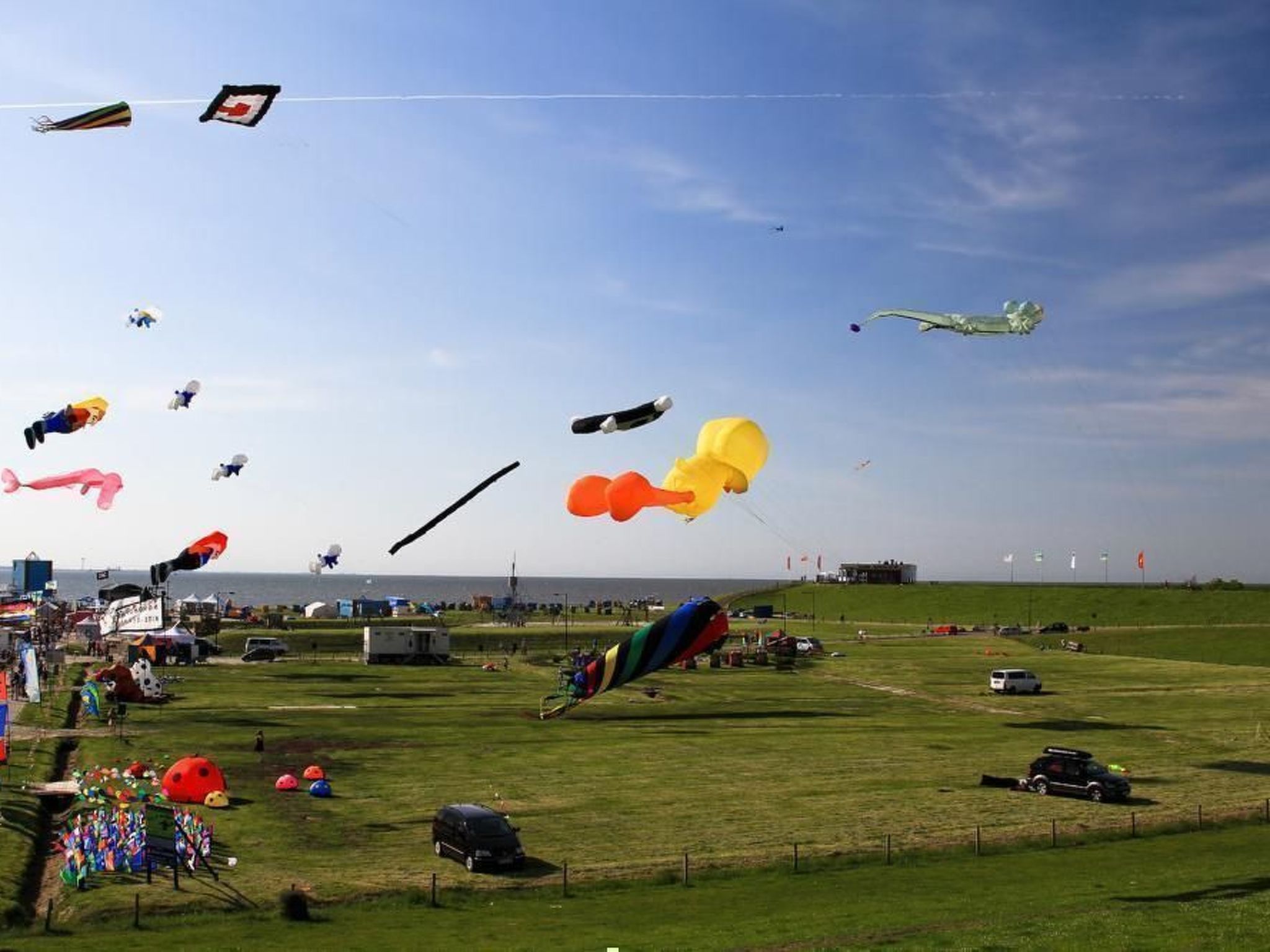 Schwalbennest-Inside