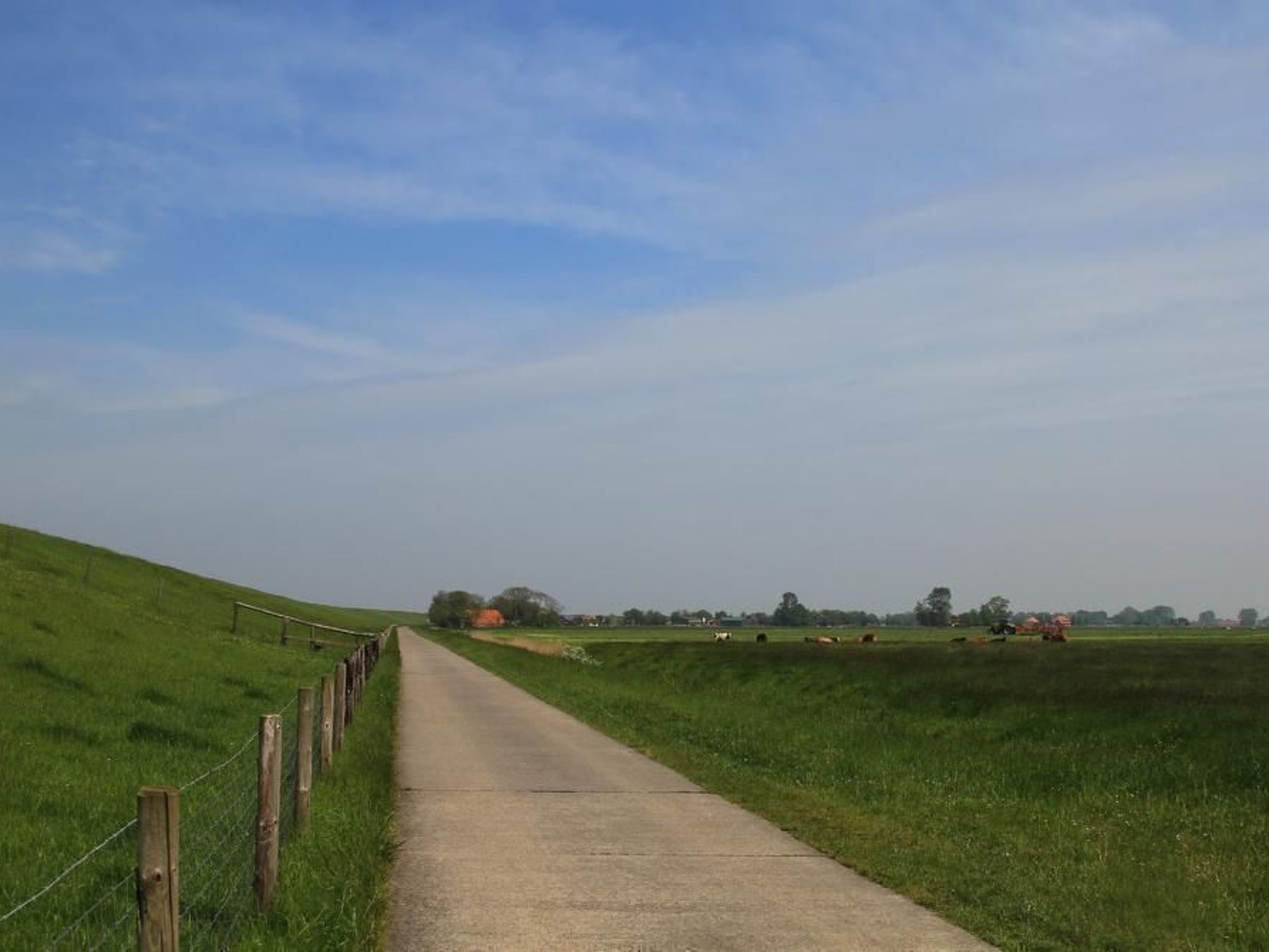 Schwalbennest-Inside