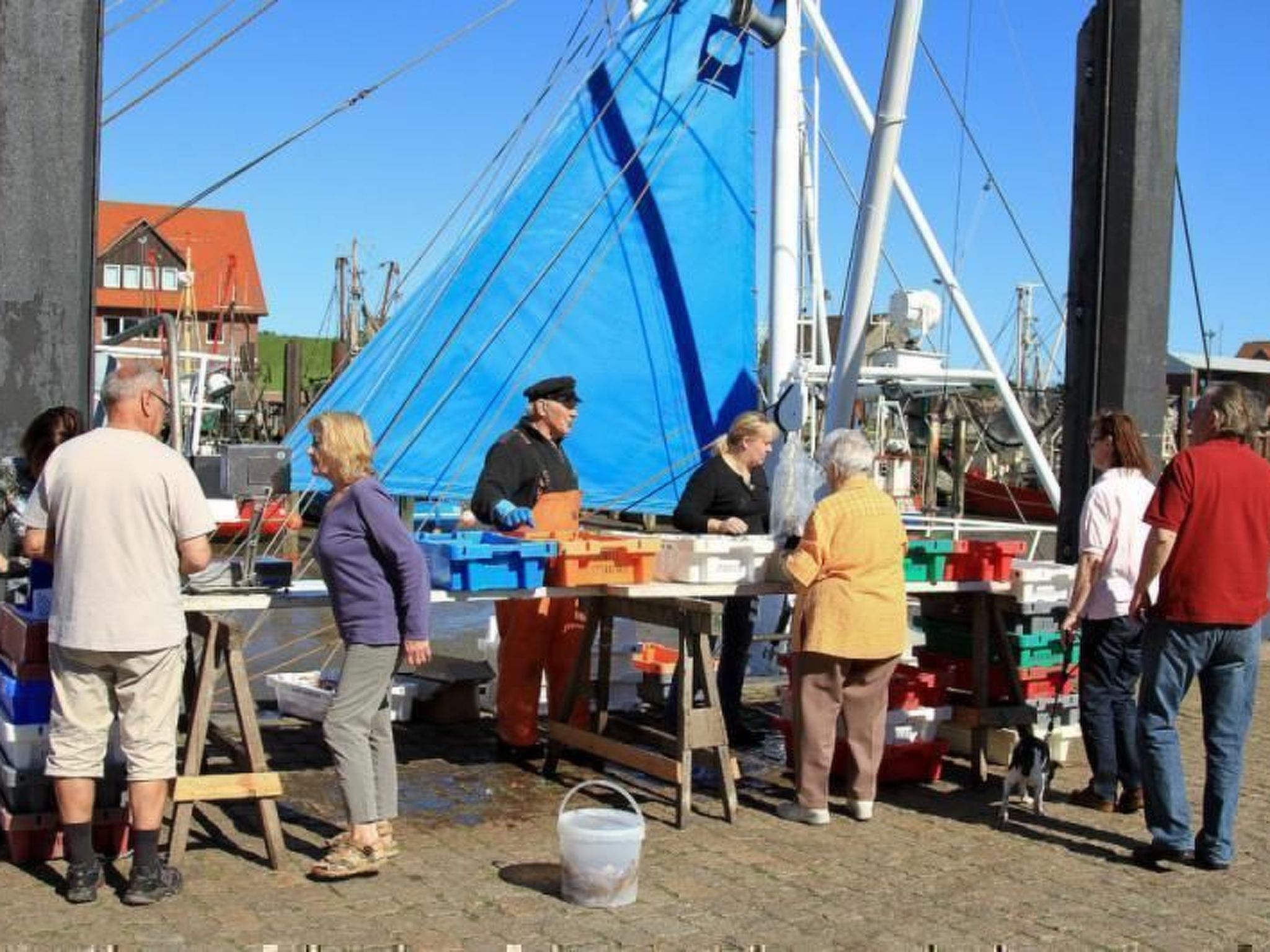 Schwalbennest-Inside