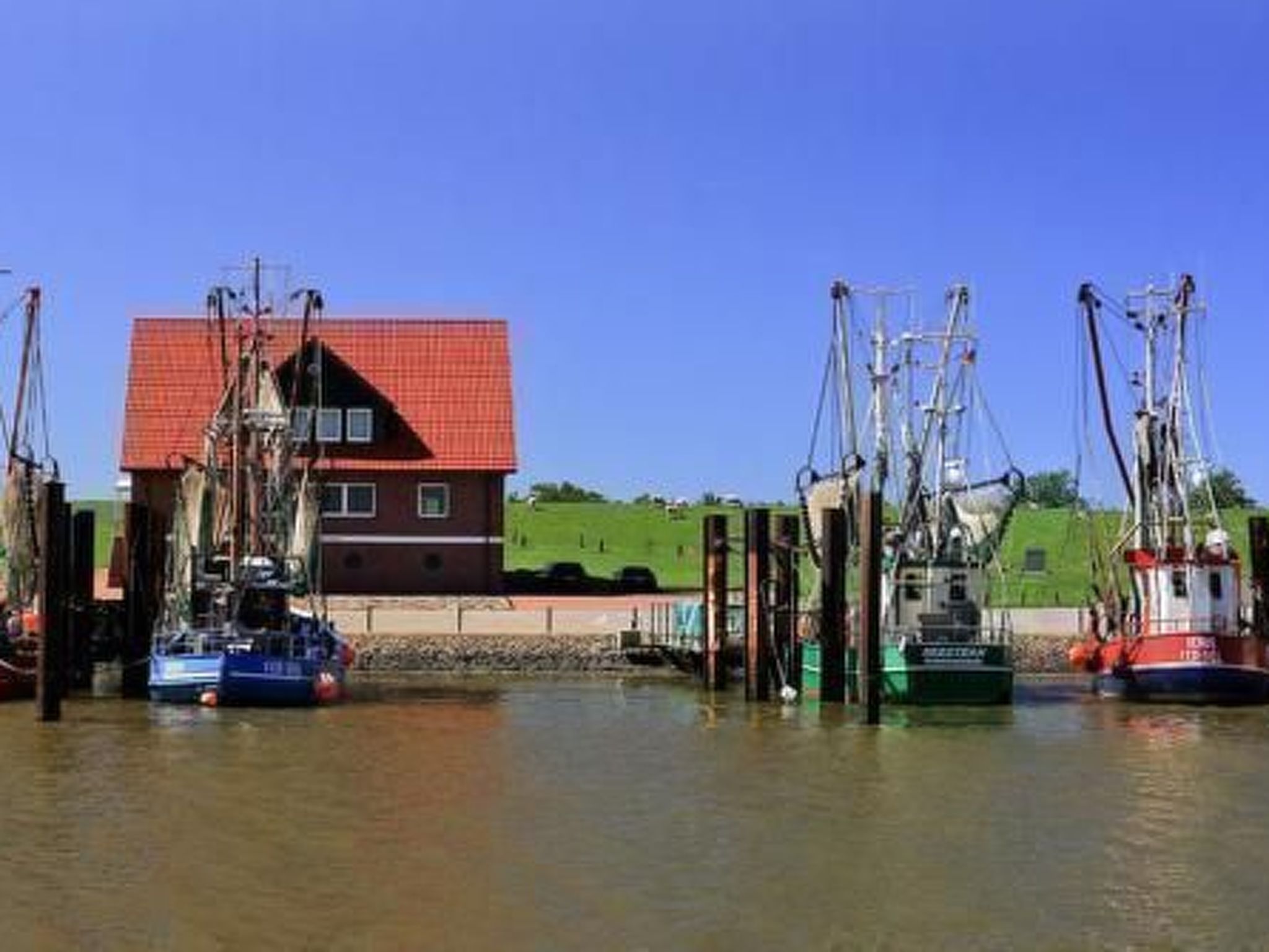 Schwalbennest-Inside