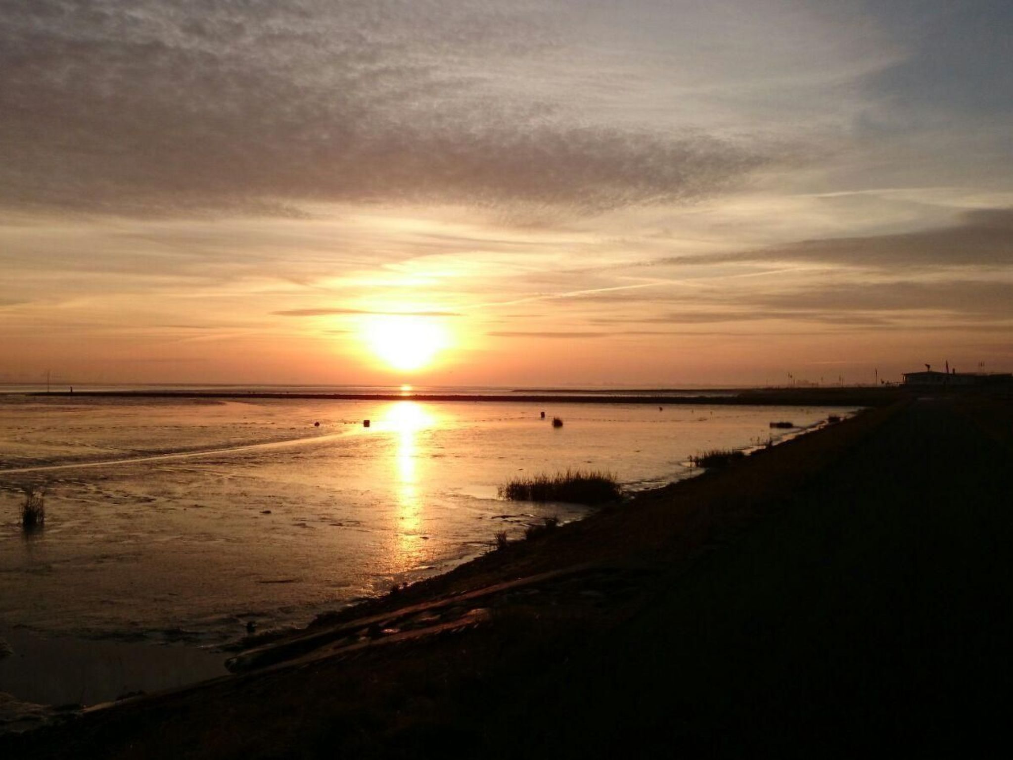 Schwalbennest-Drinnen