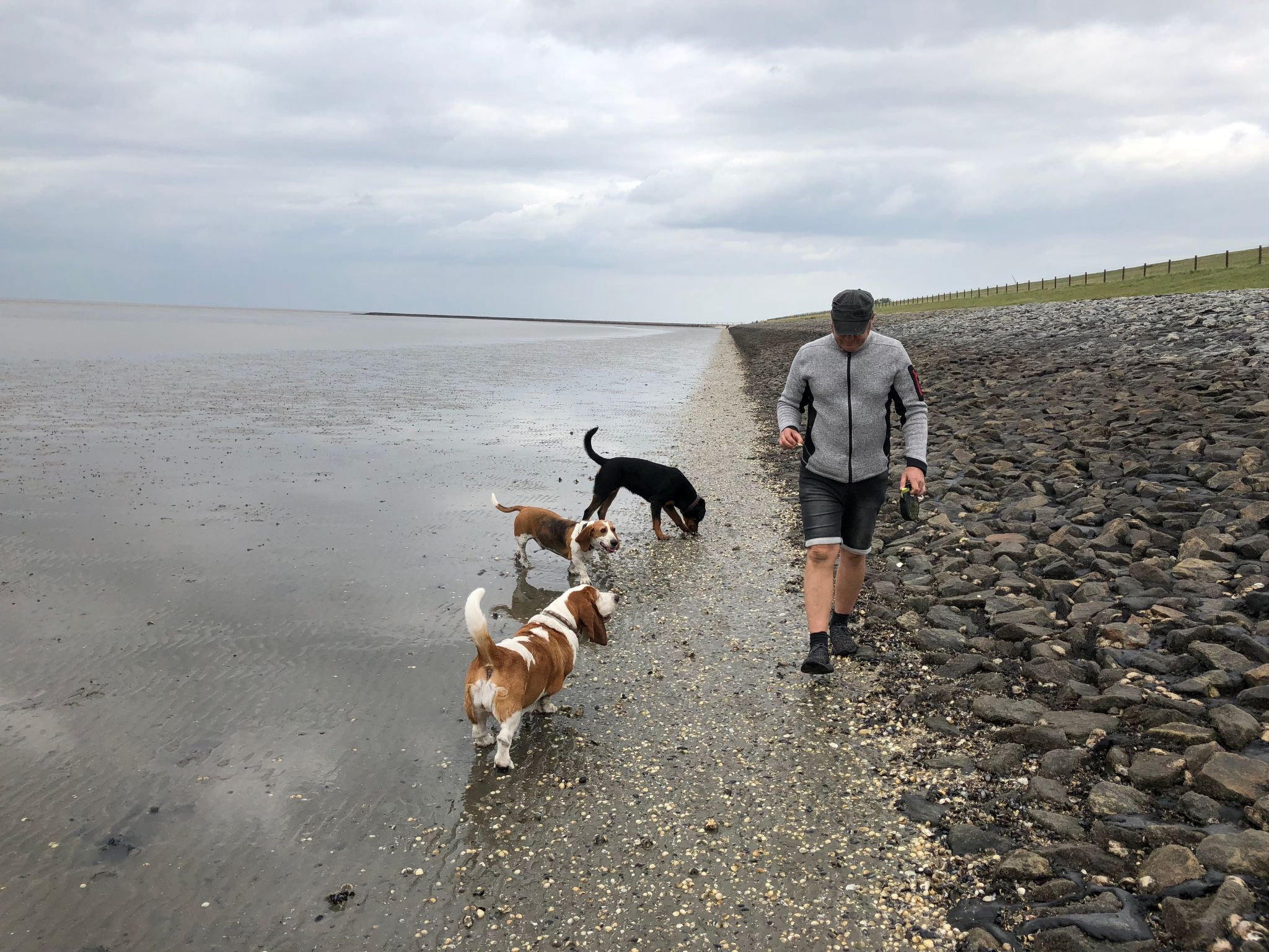 Haus Wattwurm-Image-tags.info