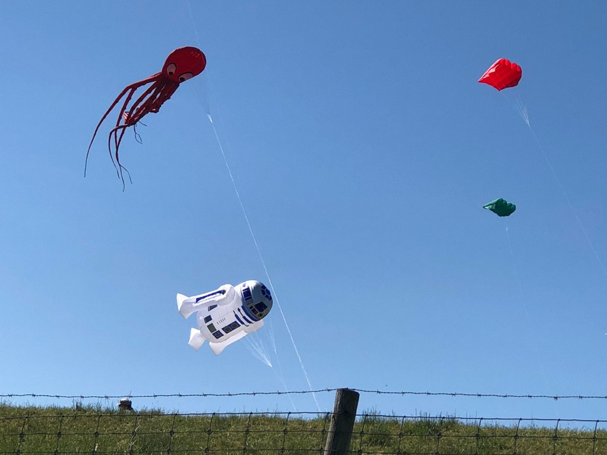 Haus Wattwurm-Image-tags.info