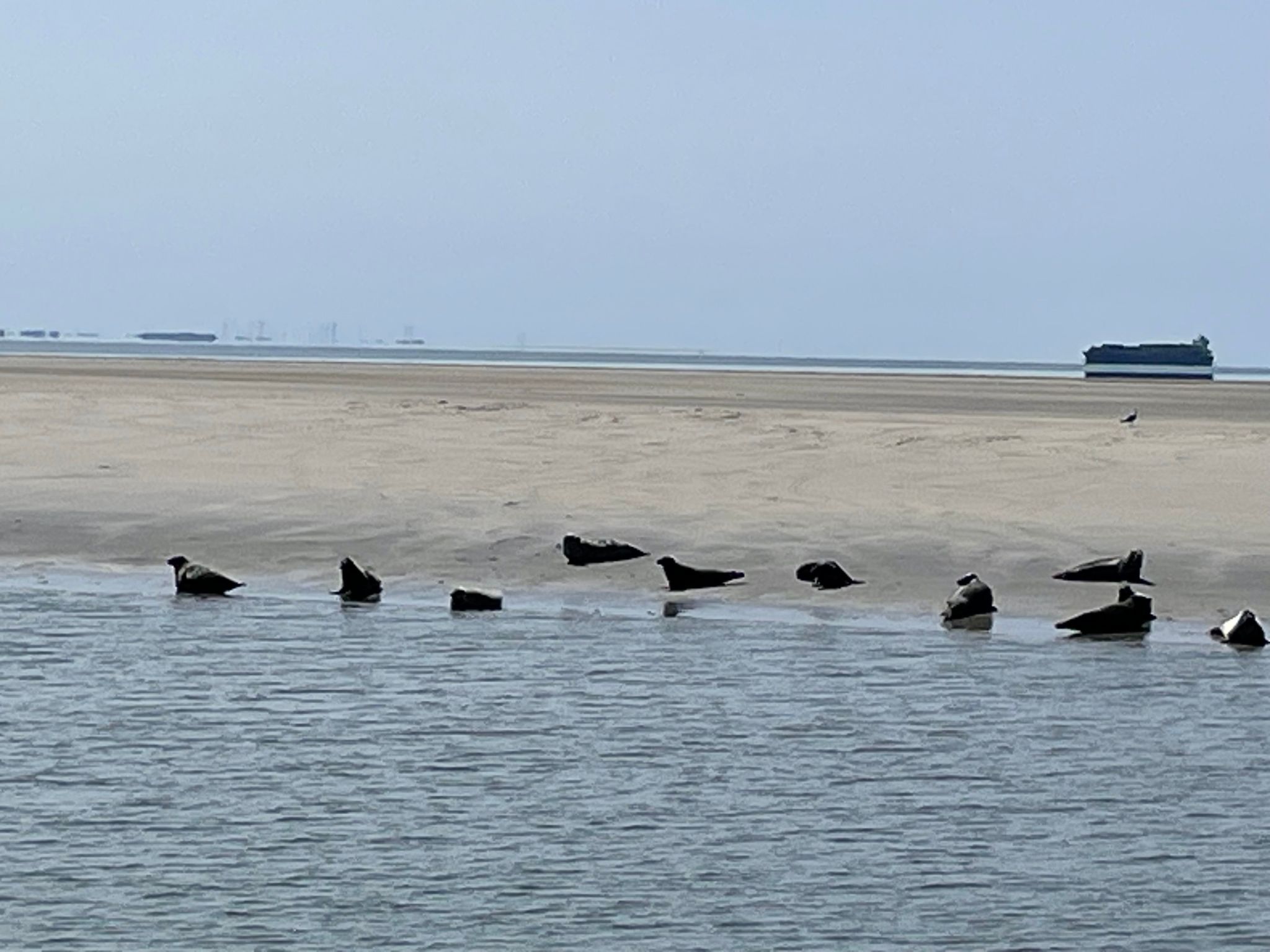 Sehnsucht Nordsee,-Dehors