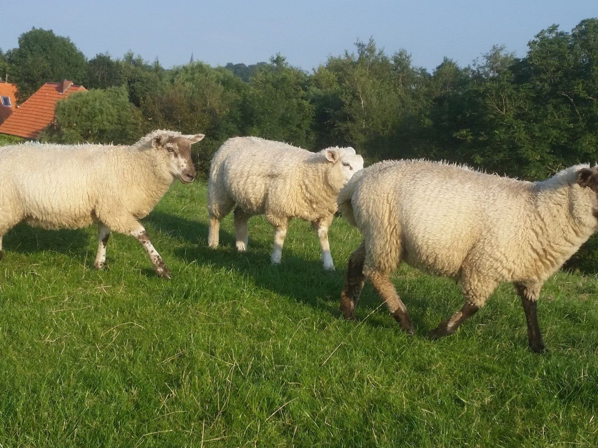 Sehnsucht Nordsee,-Dehors