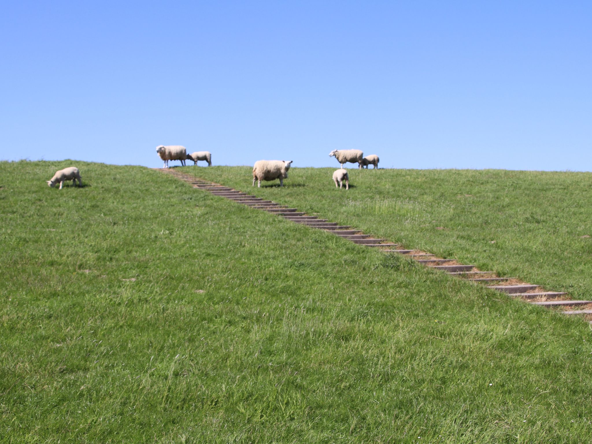 Meermomente Burhave-Dedans