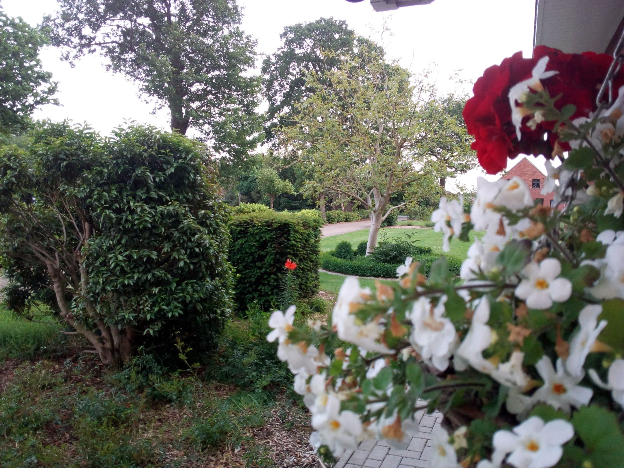 Fewo Schlingshöhe-Dehors