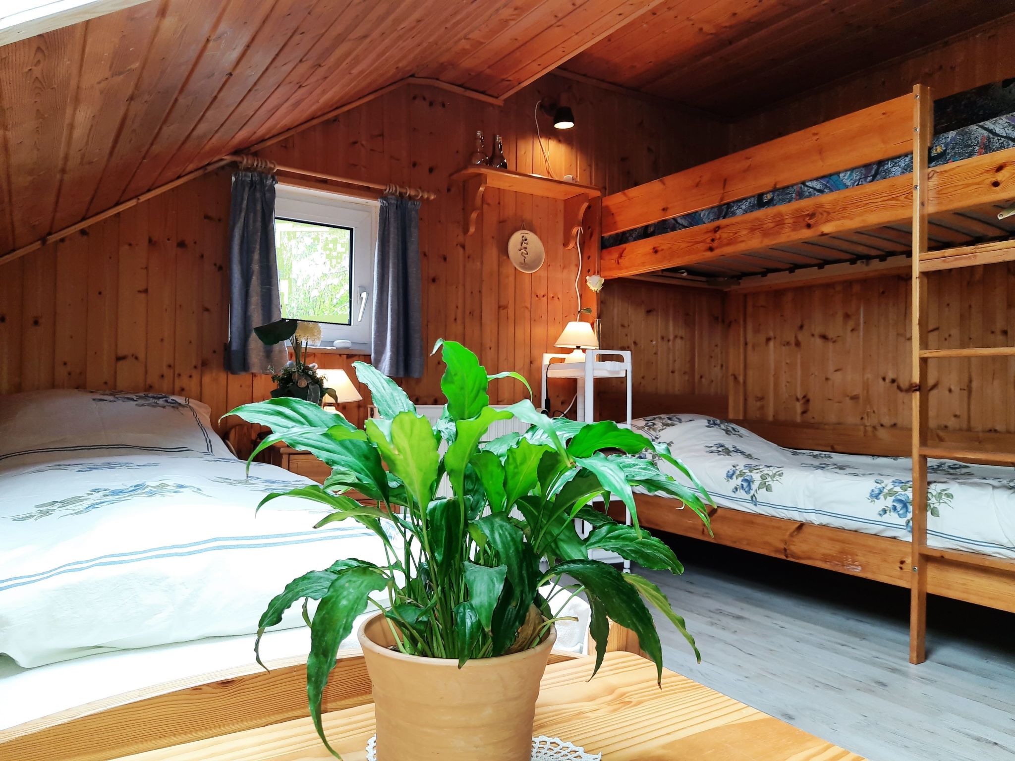 Fewo Schlingshöhe-Dedans